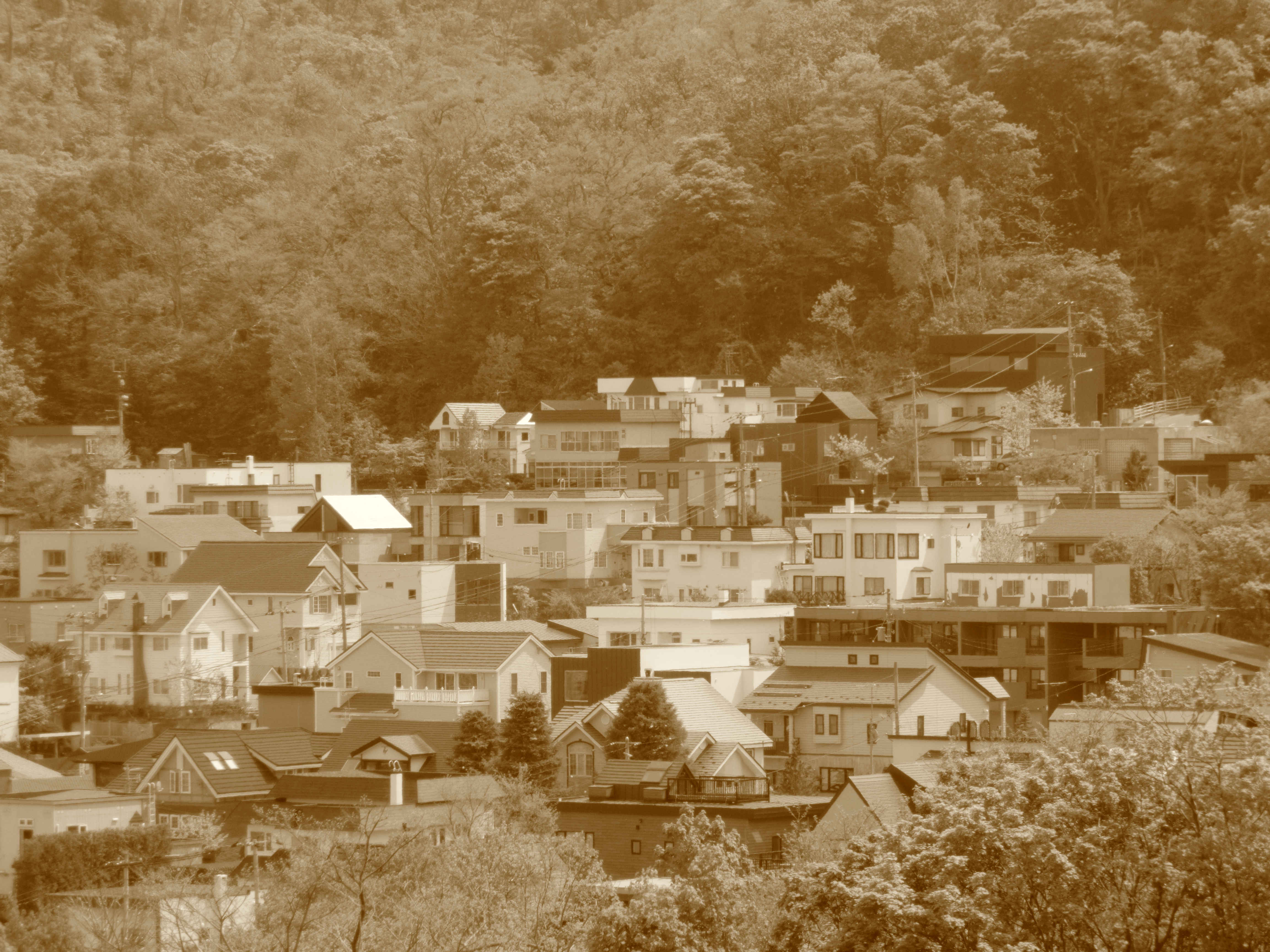 <b>セピア:レベル2 / EX-ZR300 / 4,608×3,456 / F5.8 / 1/320秒 / 0EV / ISO80 / WB:オート / 29.39mm（166mm相当）</b>