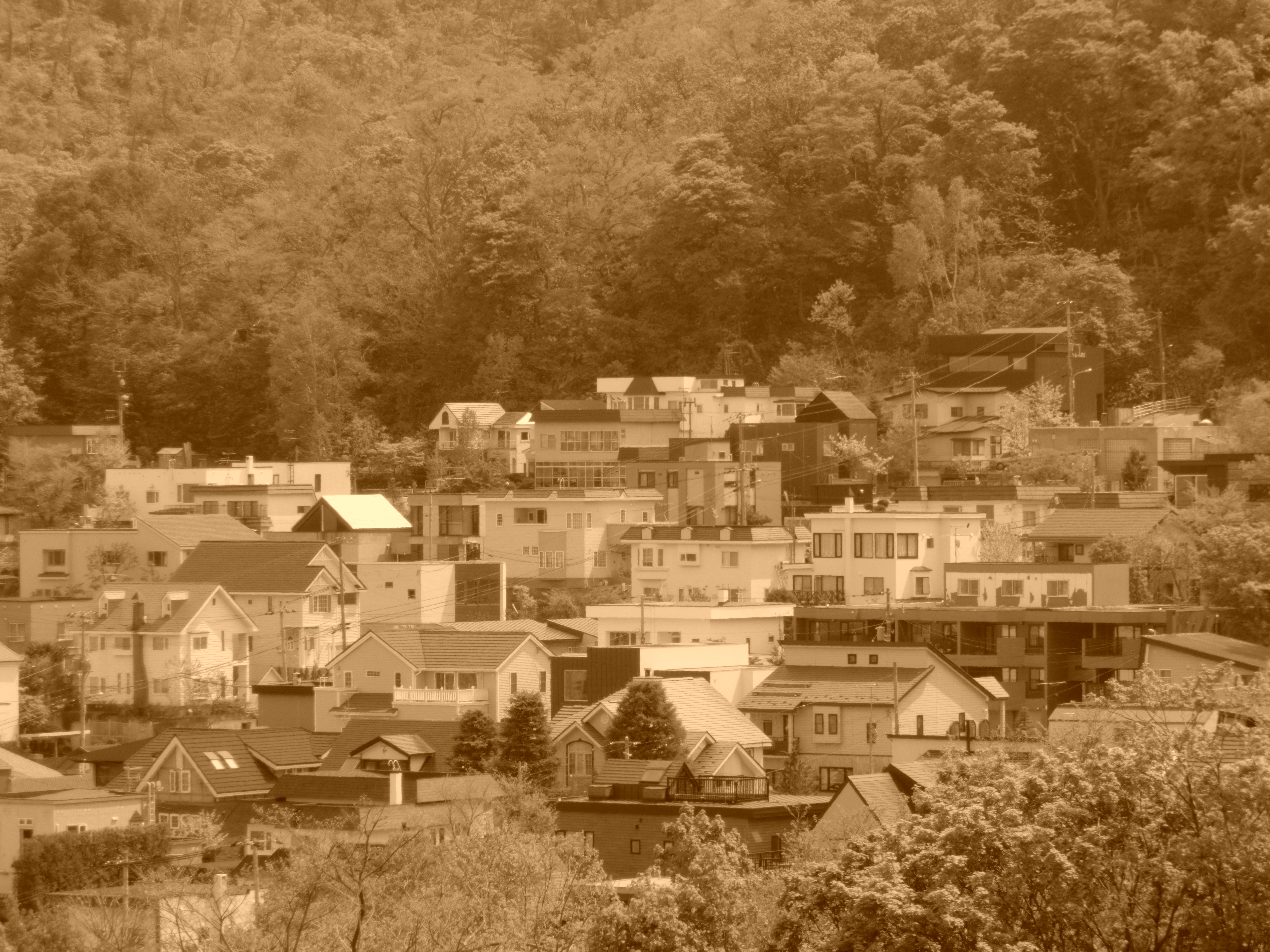 <b>セピア:レベル3 / EX-ZR300 / 4,608×3,456 / F5.8 / 1/320秒 / 0EV / ISO80 / WB:オート / 29.39mm（166mm相当）</b>