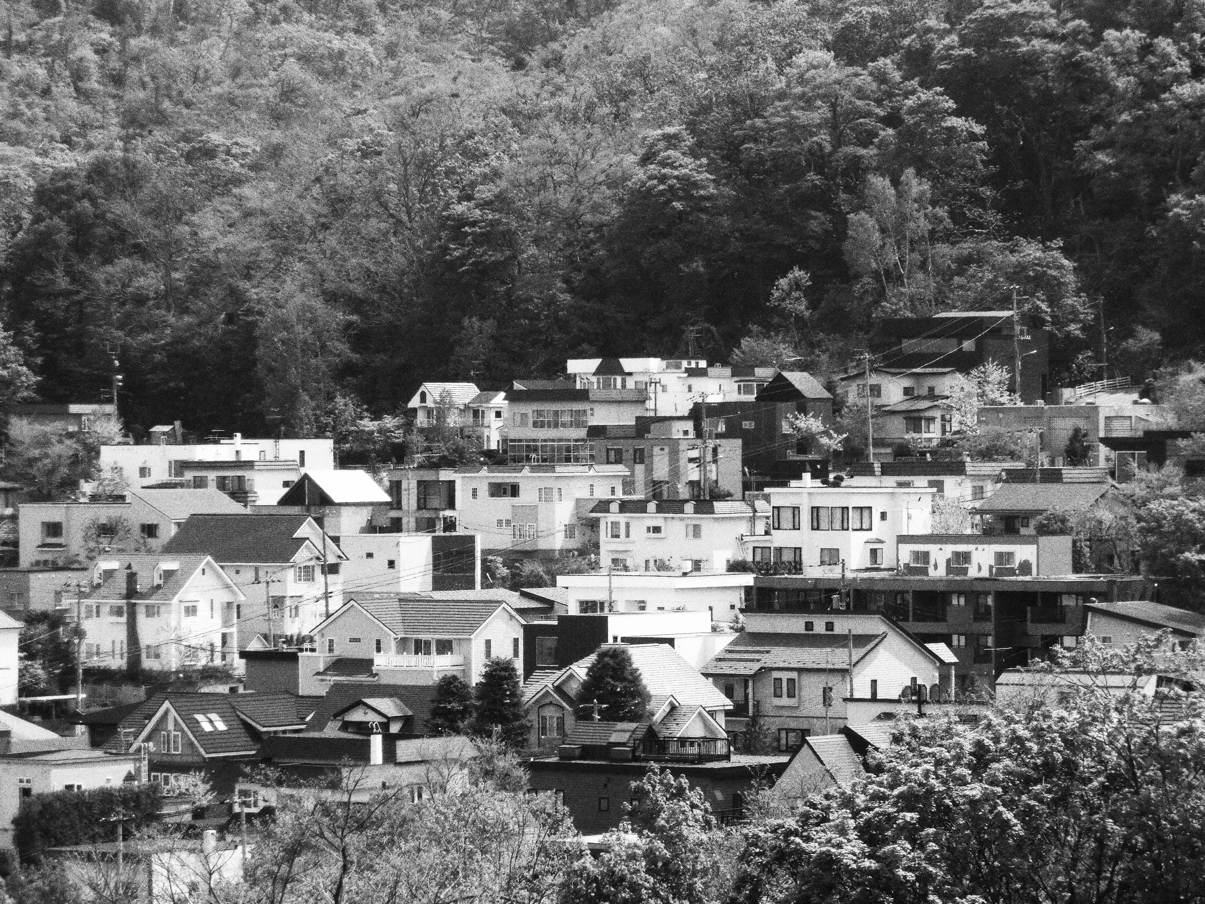 <b>モノクロ:レベル2 / EX-ZR300 / 4,608×3,456 / F5.8 / 1/320秒 / 0EV / ISO80 / WB:オート / 29.39mm（166mm相当）</b>