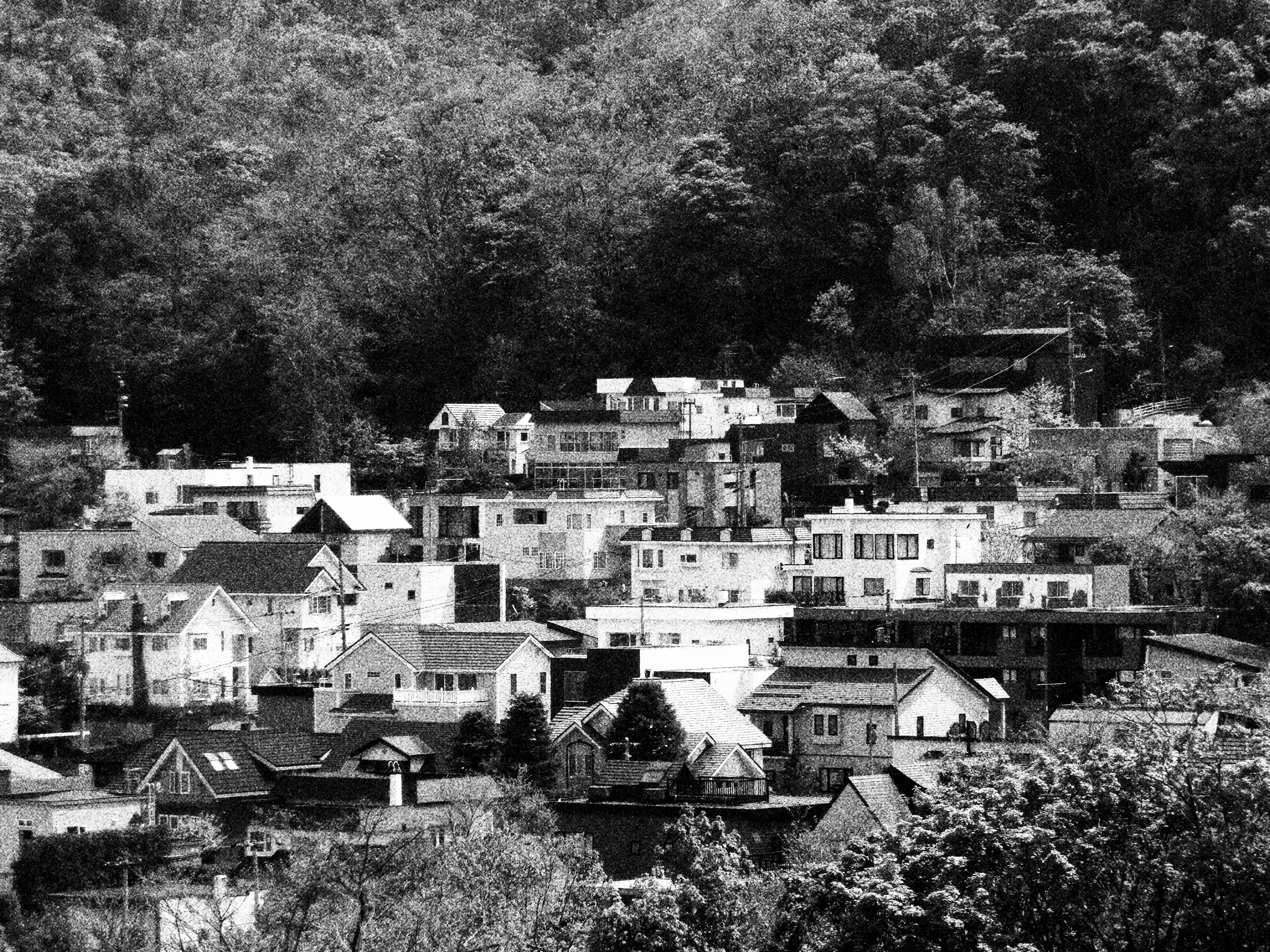 <b>モノクロ:レベル3 / EX-ZR300 / 4,608×3,456 / F5.8 / 1/320秒 / 0EV / ISO80 / WB:オート / 29.39mm（166mm相当）</b>