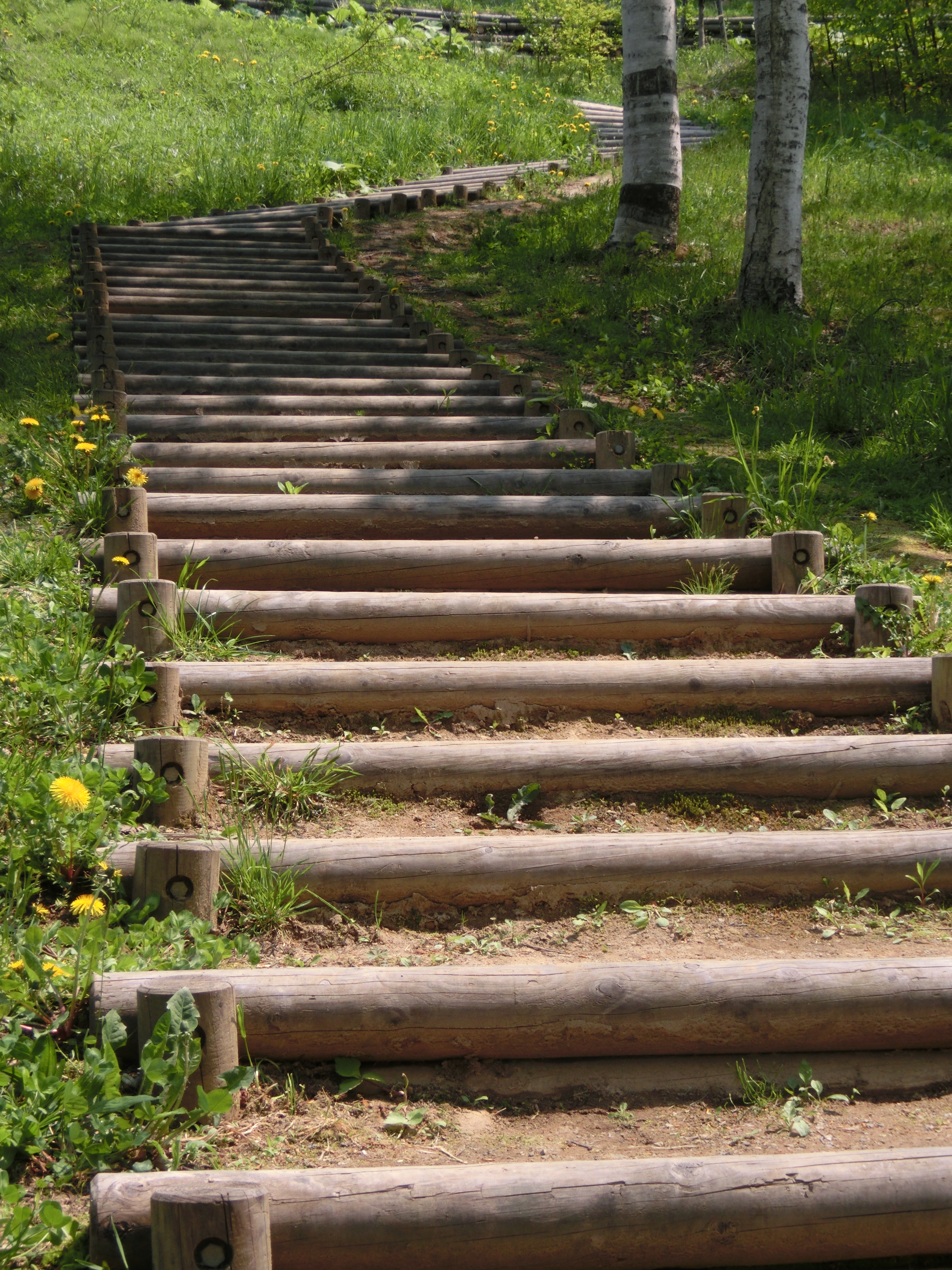 <b>ちょっとした山の上にある公園の階段。EX-ZR300 / 4,608×3,456 / F4.9 / 1/400秒 / 0EV / ISO80 / WB:オート / 13.79mm（78mm相当）</b>