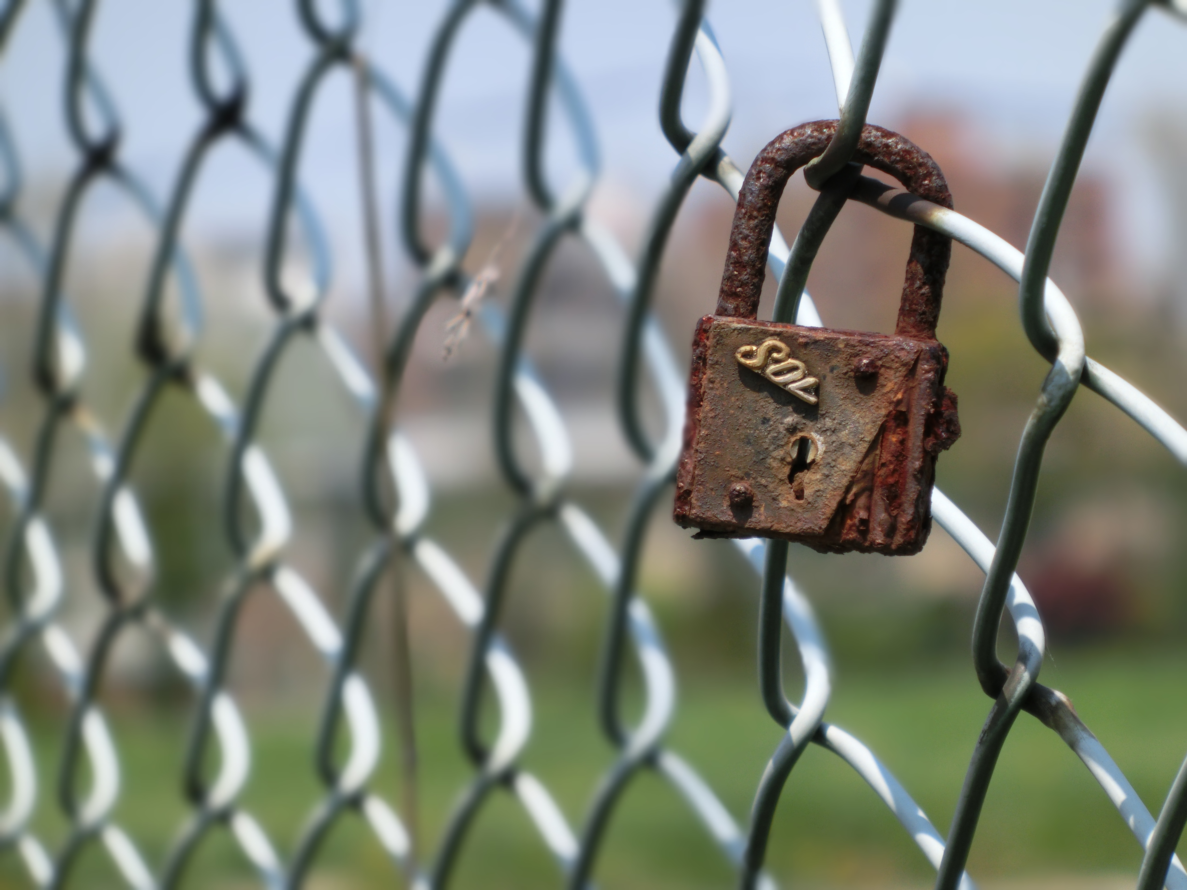 <b>恋愛成就祈願……ってことはないと思う。望遠端でめいっぱい寄れば、それなりに背景もボケてくれる。EX-ZR300 / 4,608×3,456 / F5.9 / 1/400秒 / 0EV / ISO80 / WB:オート / 53mm（300mm相当）</b>