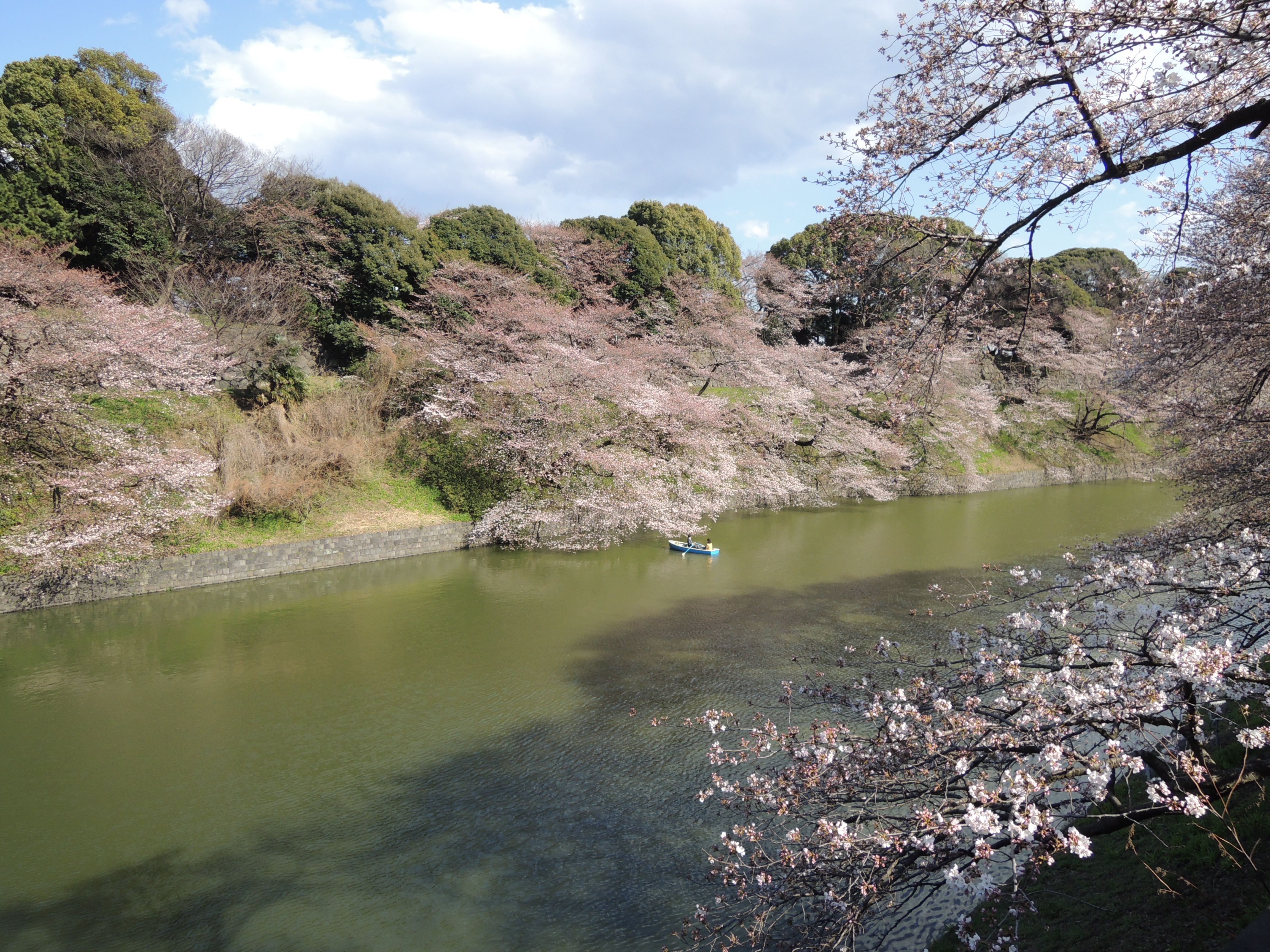 <b>広角端 / COOLPIX P310 / 約5.3MB / 4,608×3,456 / 1/800秒 / F2.8 / 0.0EV / ISO100 / WB:オート1 / 4.3mm</b>