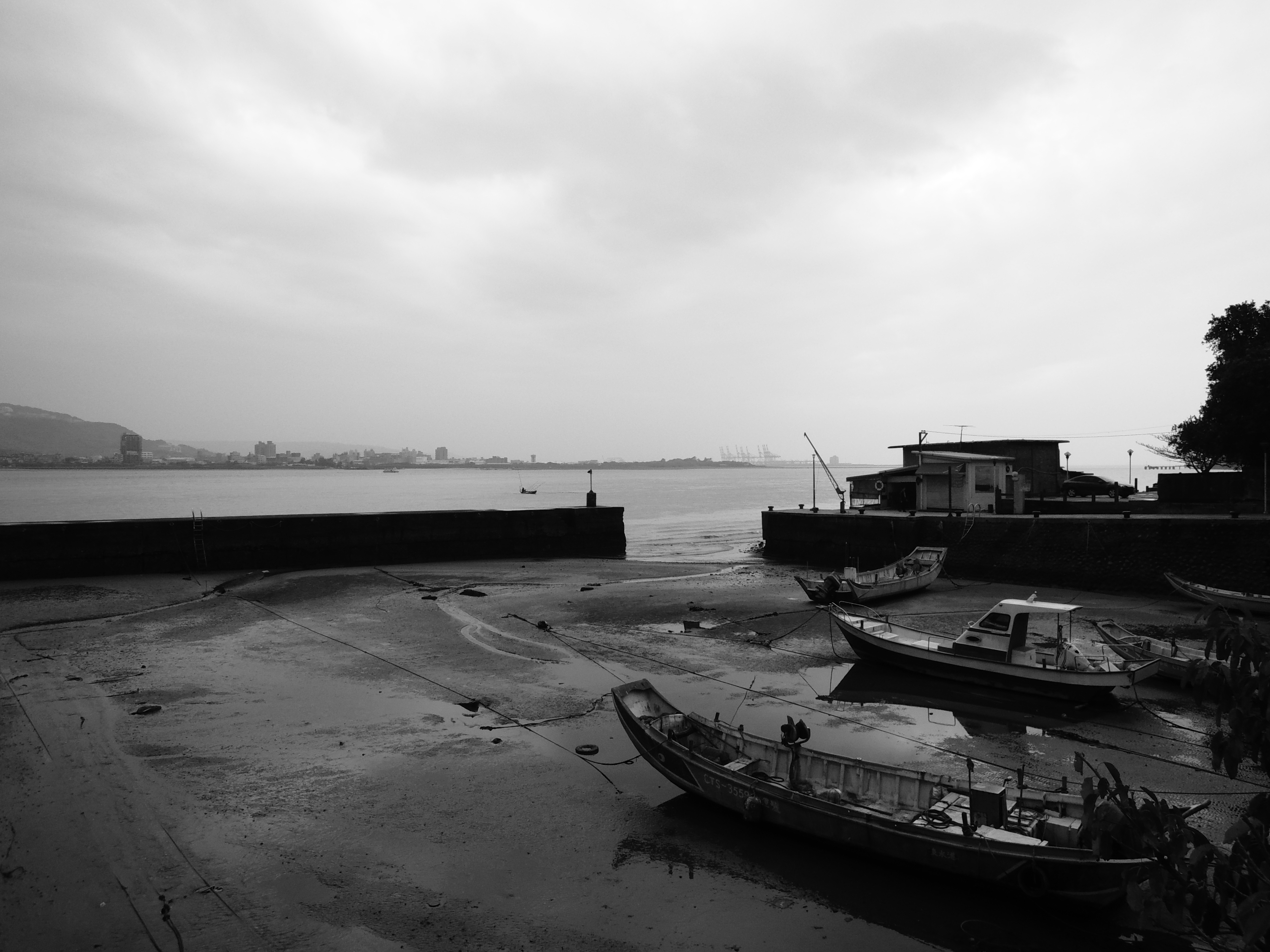 <b>硬調モノクローム / COOLPIX P310 / 約4.7MB / 4,608×3,456 / 1/400秒 / F2.8 / 0.0EV / ISO100 / WB:オート1 / 4.3mm</b>