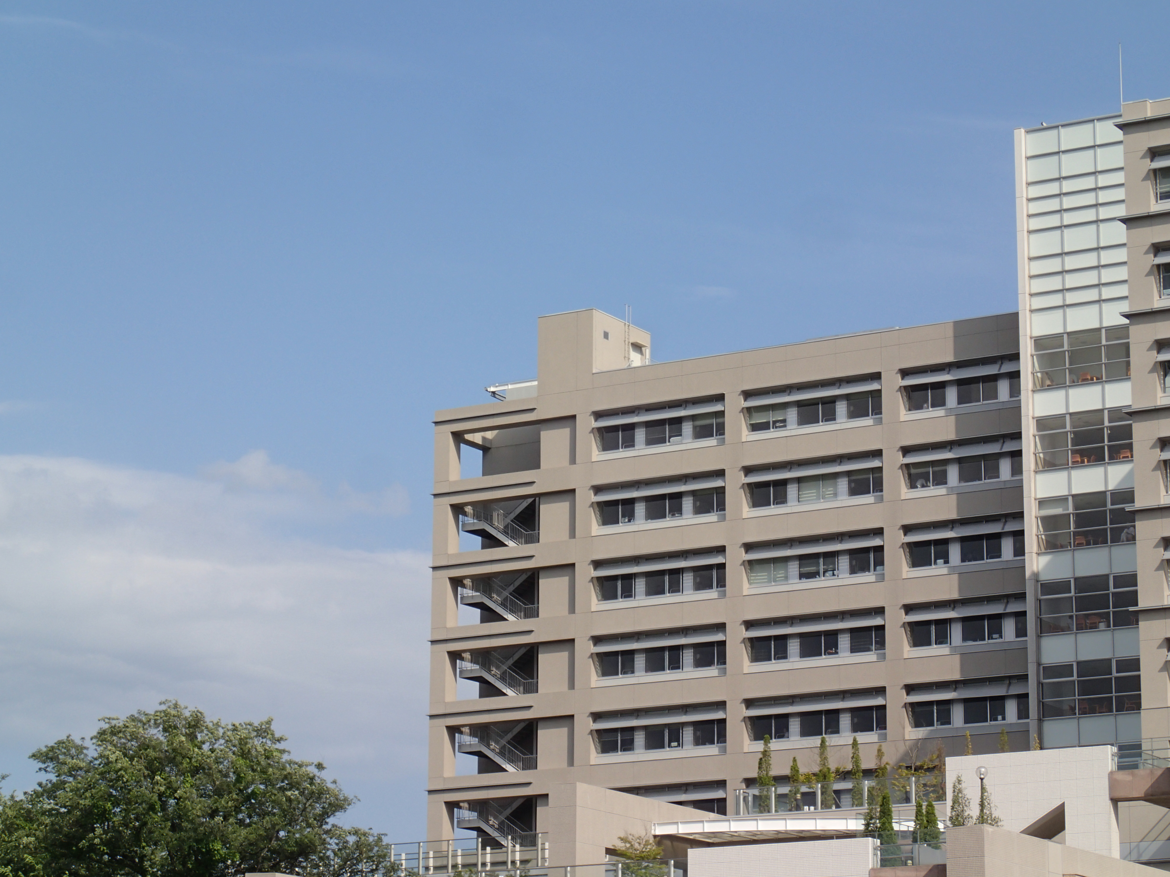 <b>望遠端18mm（100mm相当）</b>