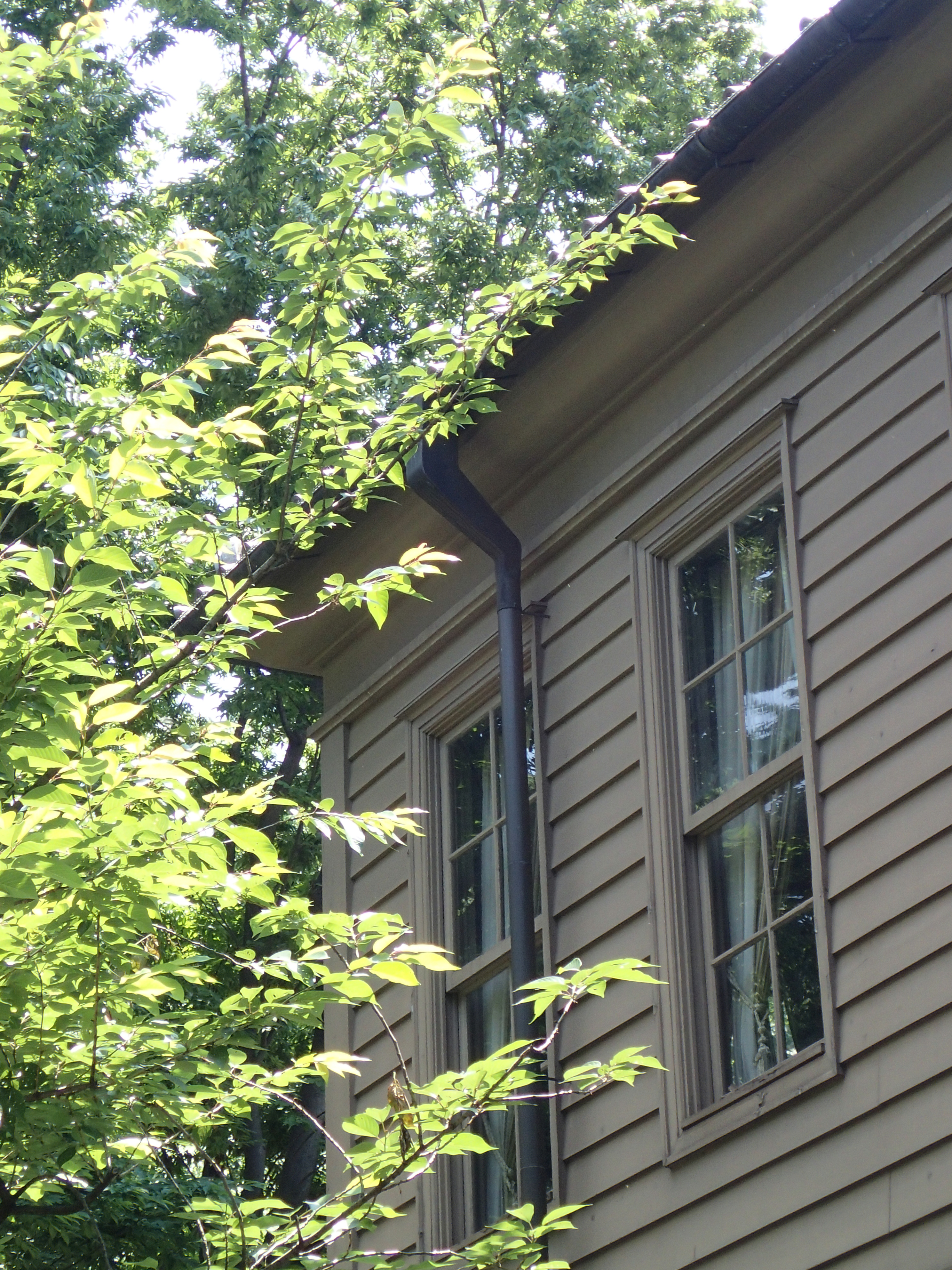 <b>TG-1 / Pモード / F4.9 / 1/160秒 / 0EV / ISO200 / WB:オート / 18mm（100mm相当）</b>