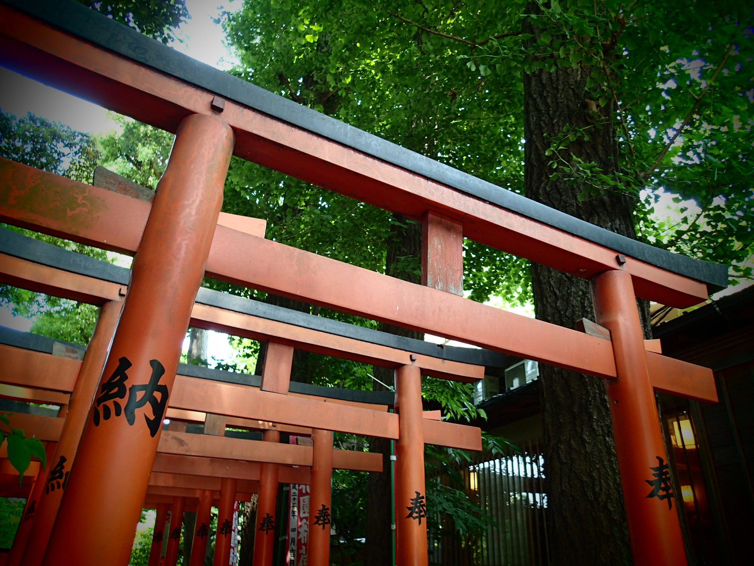 <b>マジックフィルター：ピンホール / F2 / 1/60秒 / 0EV / ISO100 / WB:オート / 4.5mm（25mm相当）</b>