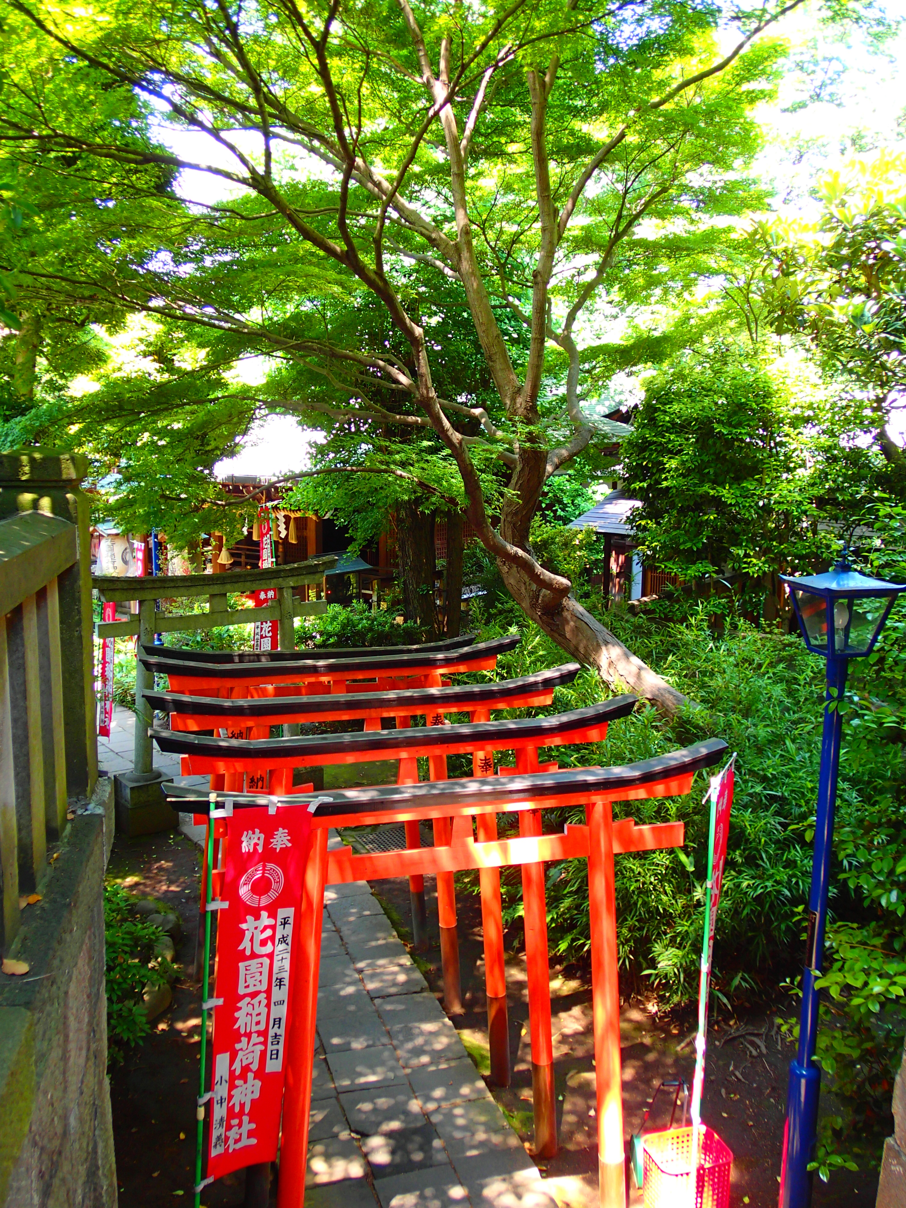 <b>マジックフィルター：ポップ / F2 / 1/60秒 / 0EV / ISO100 / WB:オート / 5.5mm（30mm相当）</b>