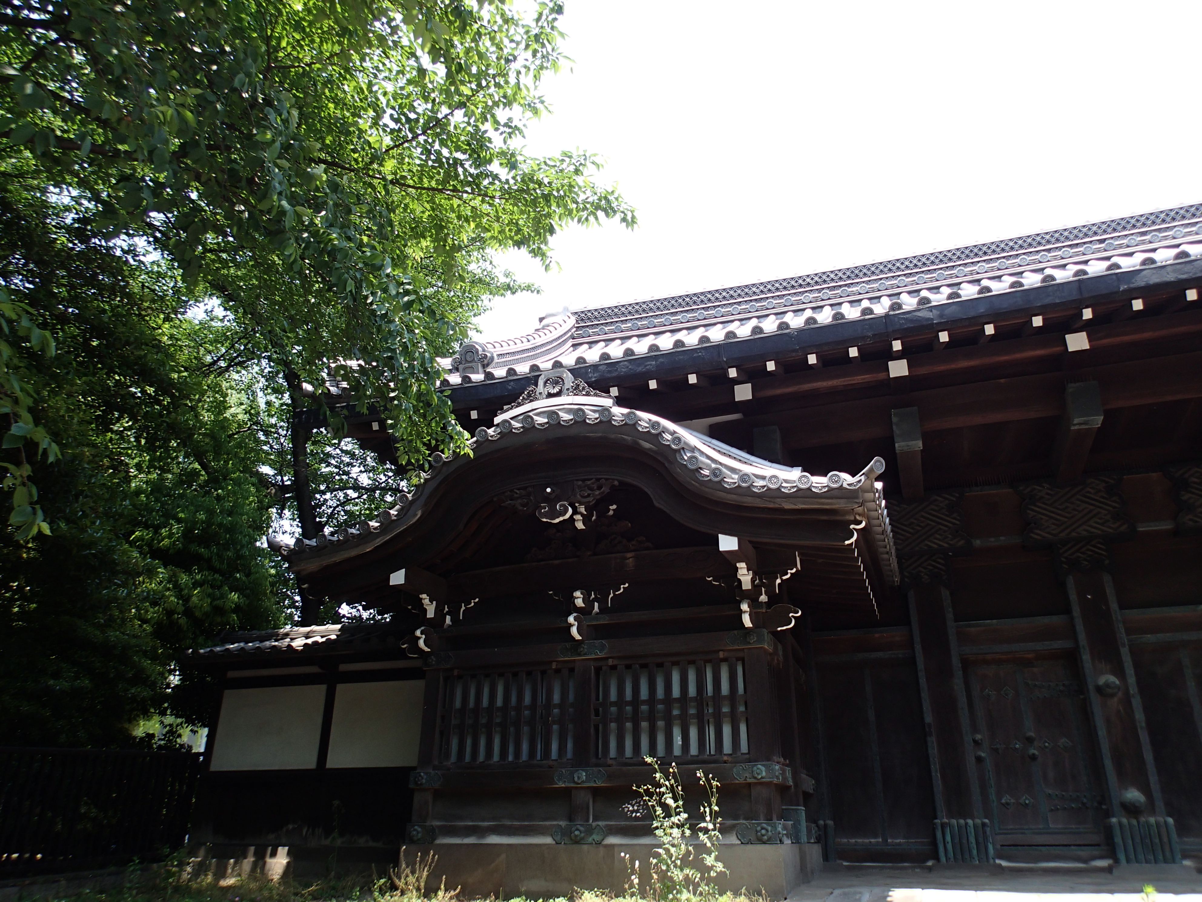 <b>Pモード / F2.8 / 1/320秒 / 0EV / ISO100 / WB:オート / 4.5mm（25mm相当）</b>