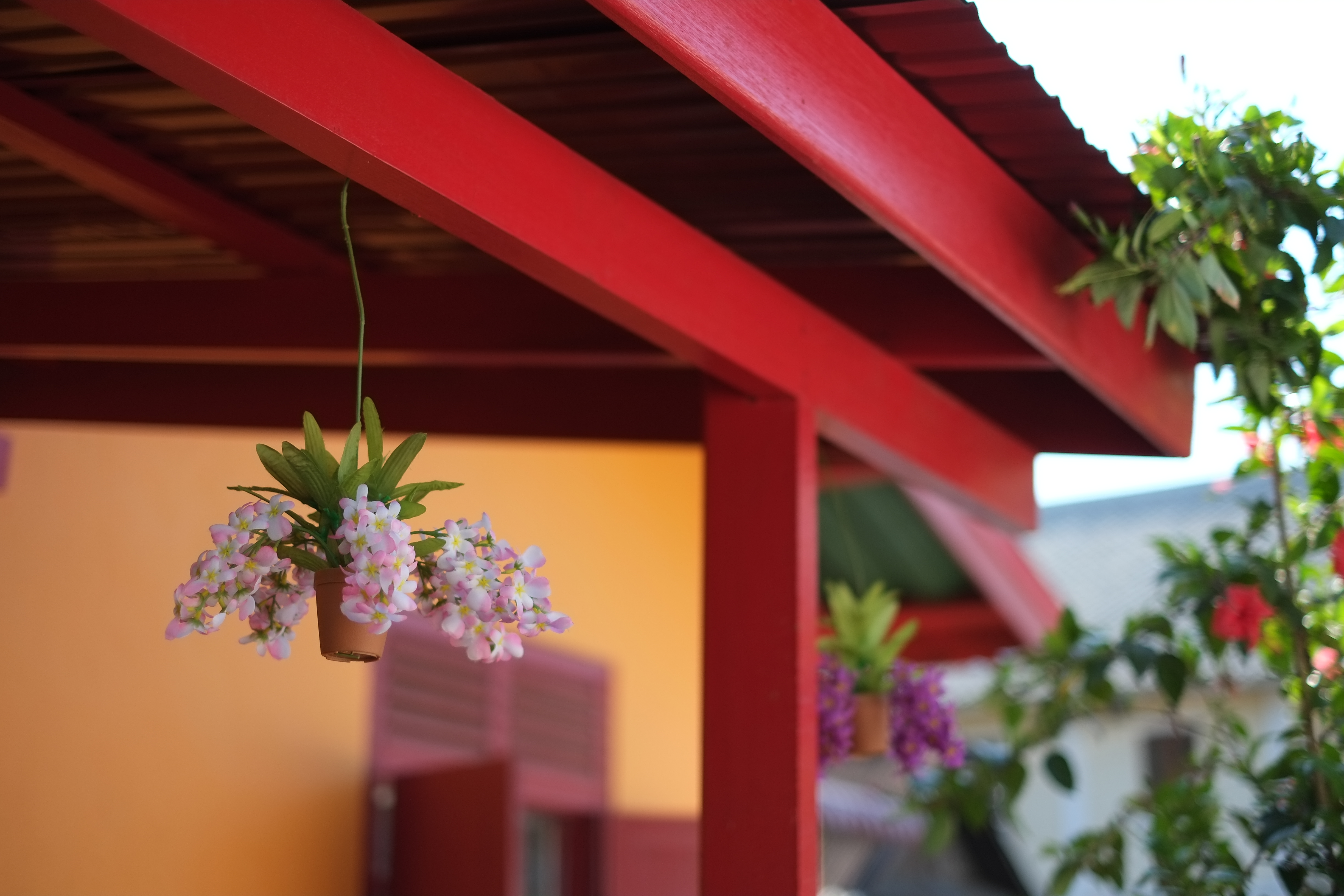 <b>FUJIFILM X-Pro1 / XF 35mm F1.4 R / 約3.7MB / 4,896×3,264 / 1/2,700秒 / F1.4 / -0.3EV / ISO200 / WB:オート / 35mm</b>