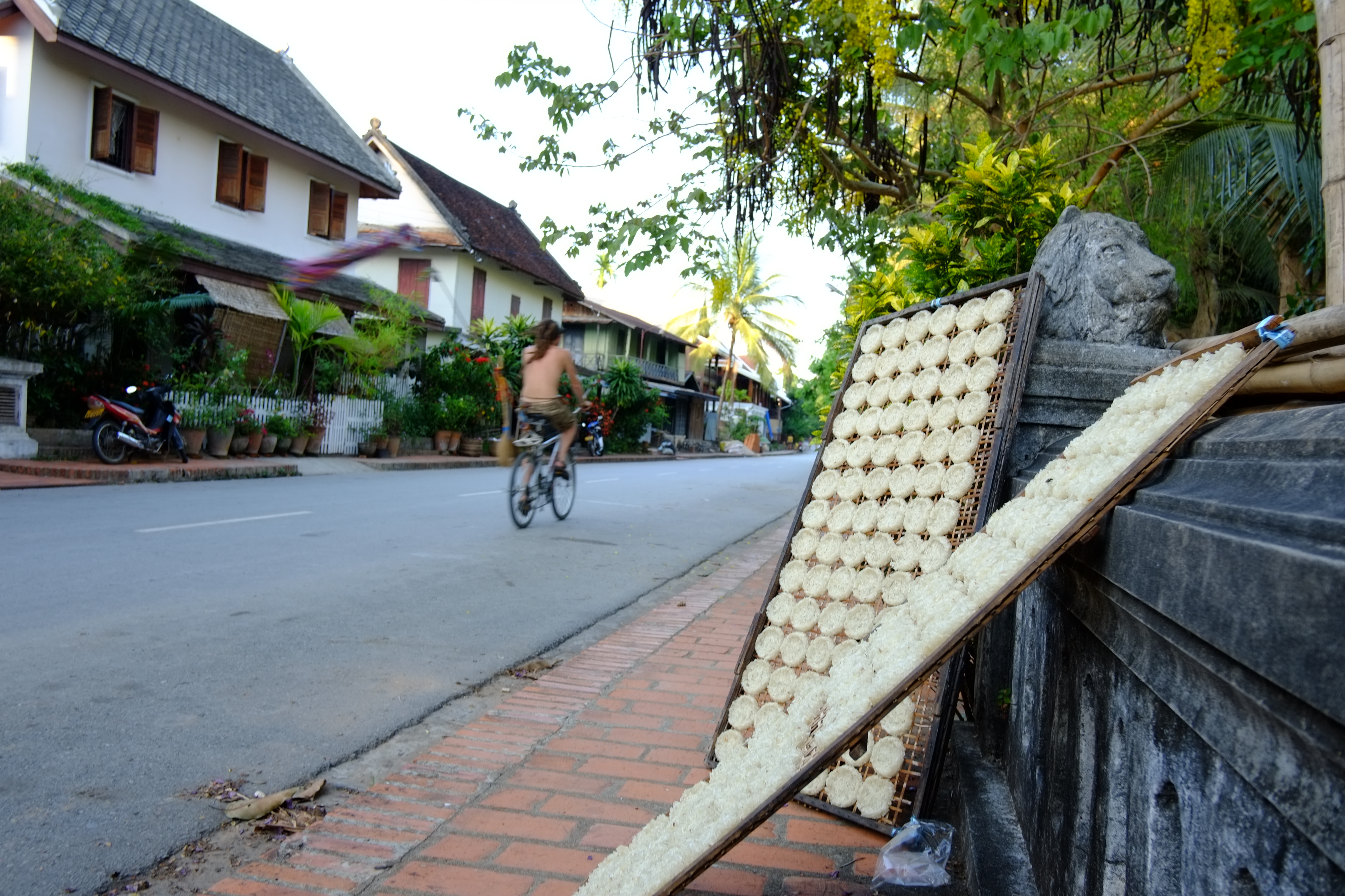 <b>FUJIFILM X-Pro1 / XF 18mm F2 R / 約4.9MB / 4,896×3,264 / 1/52秒 / F5 / +0.3EV / ISO200 / WB:晴天 / 18mm</b>