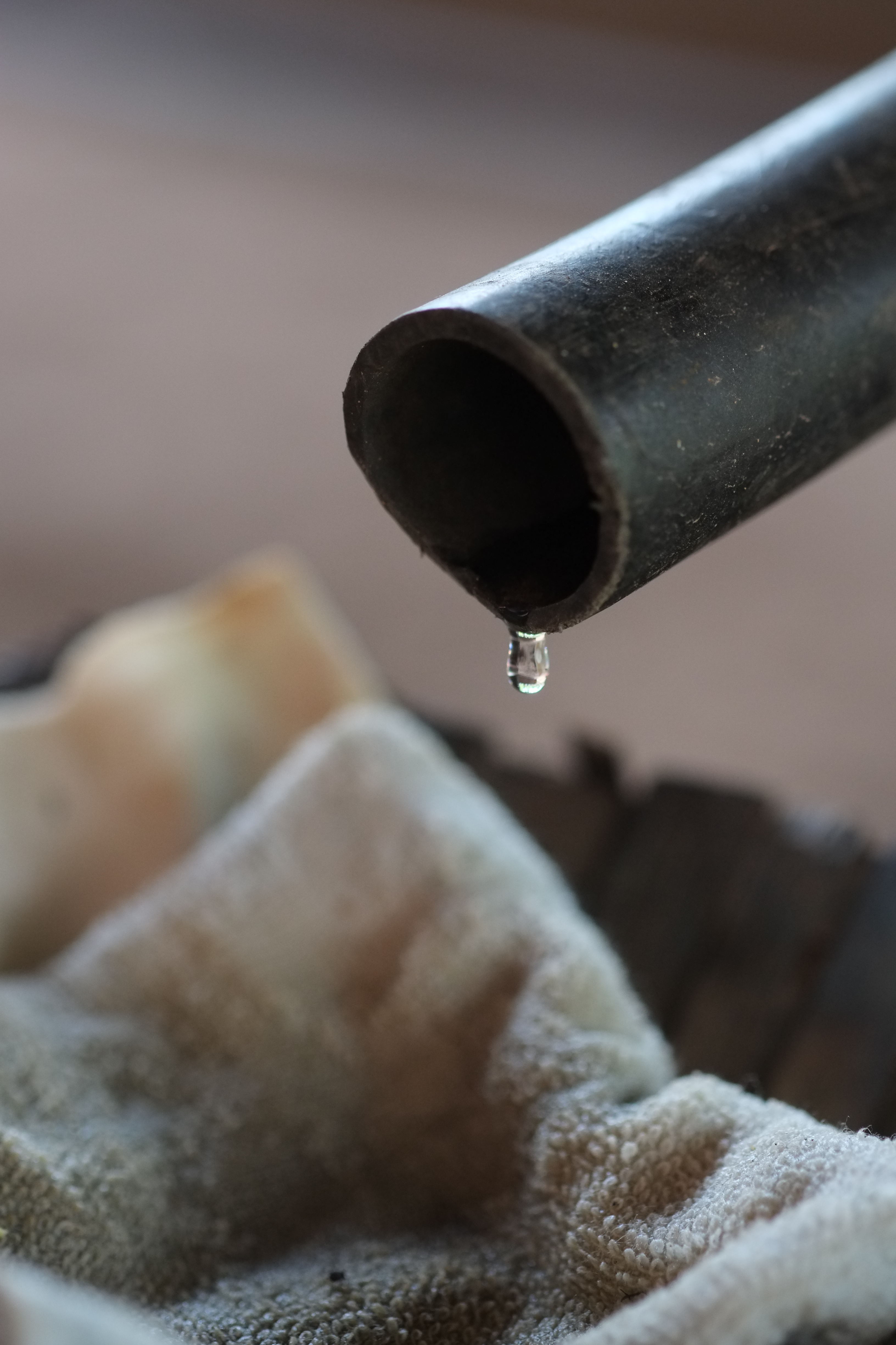 <b>FUJIFILM X-Pro1 / XF 60mm F2.4 R Macro / 約3.4MB / 4,896×3,264 / 1/250秒 / F2.8 / -1.0EV / ISO1600 / WB:オート / 60mm</b>