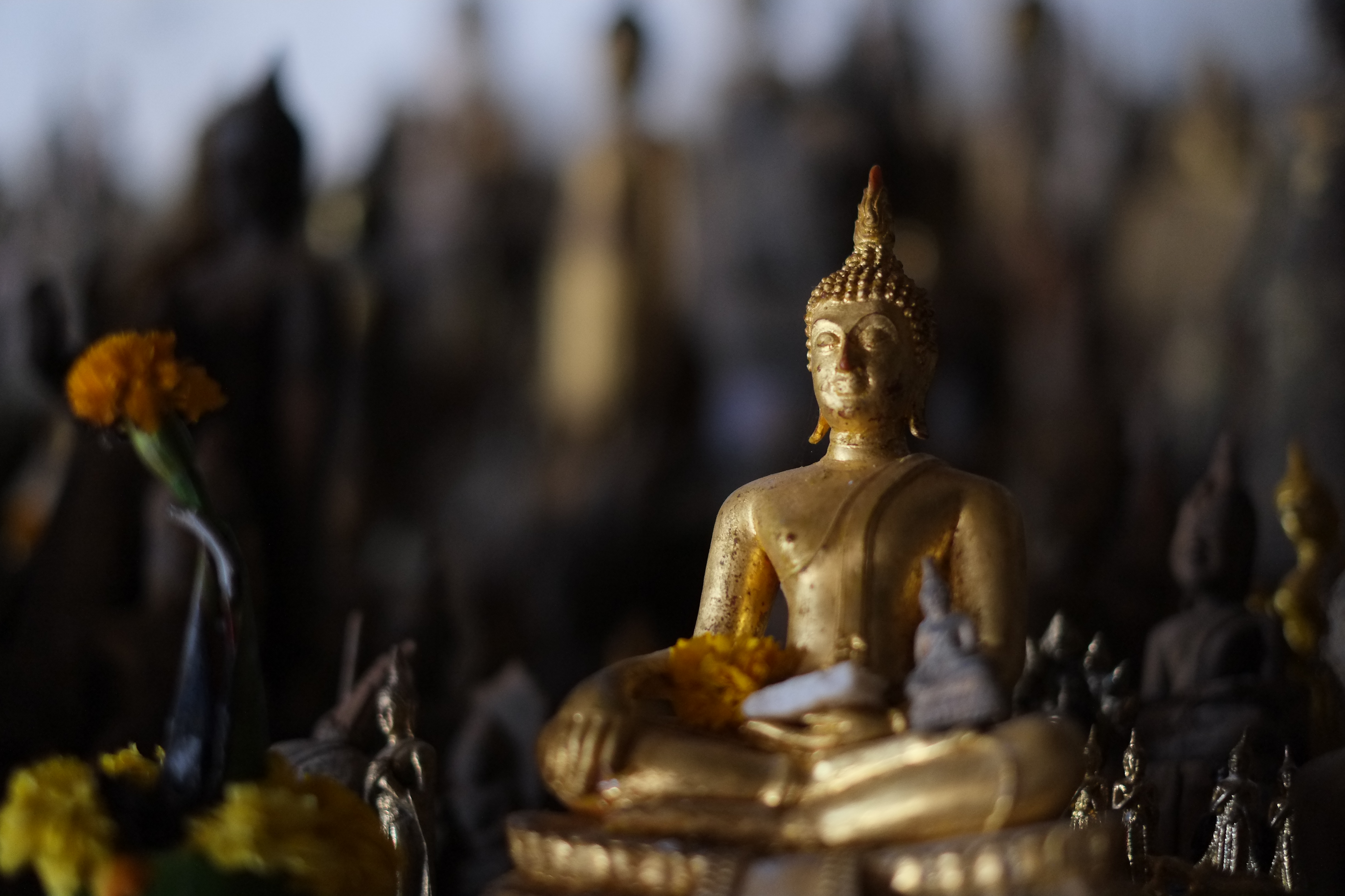 <b>FUJIFILM X-Pro1 / XF 35mm F1.4 R / 約3.9MB / 4,896×3,264 / 1/640秒 / F1.4 / -1.7EV / ISO1600 / WB:オート / 35mm</b>