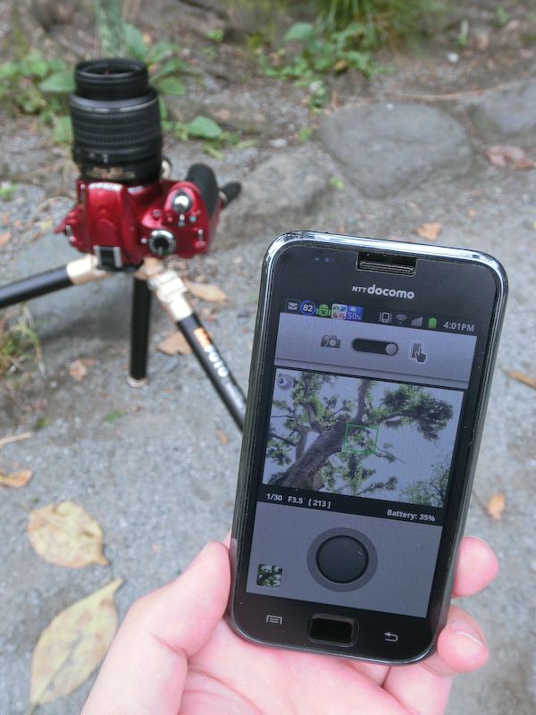 <b>このように液晶モニターやファインダーを見ることが難しいアングルでは重宝するだろう。カメラから見通しで10～15m離れても動作するのも、動物などを撮る際にはメリットになるかもしれない</b>