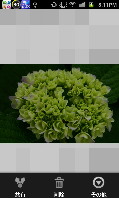 <b>共有する画像のプレビューが行なえる</b>