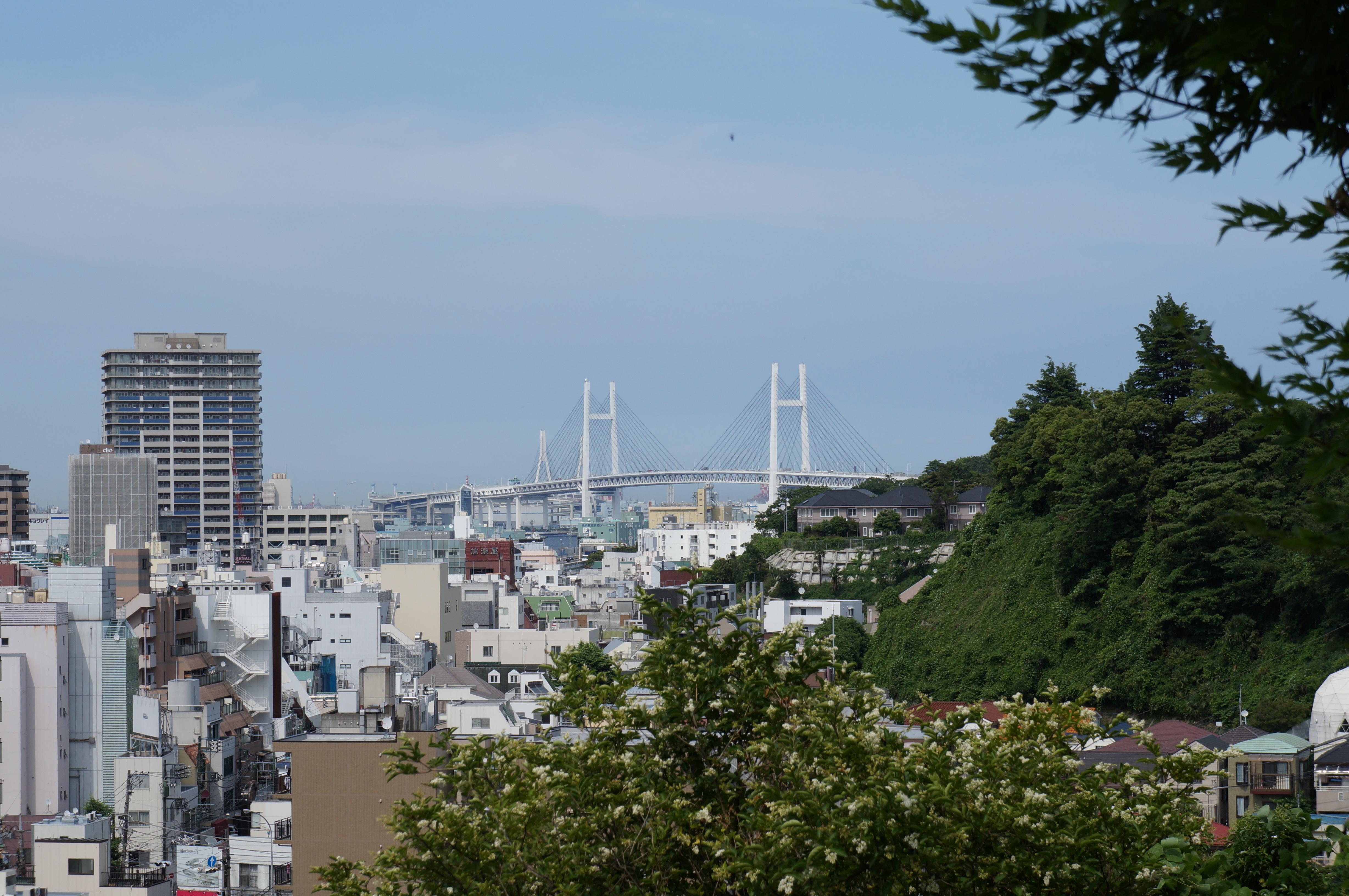 <b>超解像OFF / NEX-F3 / E 18-55mm F3.5-5.6 OSS / 約5.3MB / 4,912×3,264 / 1/640秒 / F9 / 0EV / ISO200 / プログラムAE / WB：太陽光 / 55mm</b>