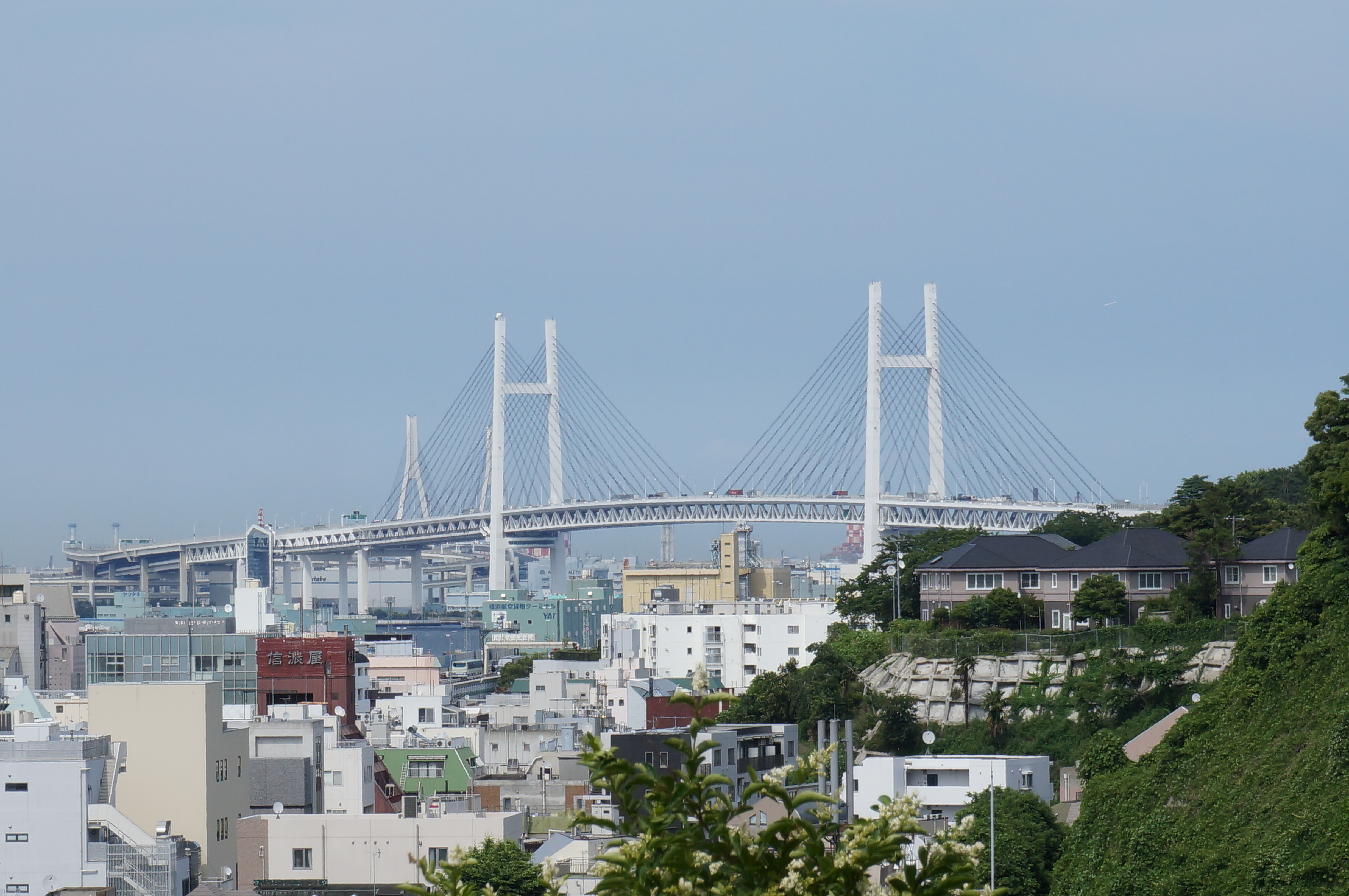 <b>超解像2倍 / NEX-F3 / E 18-55mm F3.5-5.6 OSS / 約4.2MB / 4,912×3,264 / 1/500秒 / F9 / 0EV / ISO200 / プログラムAE / WB：太陽光 / 55mm</b>