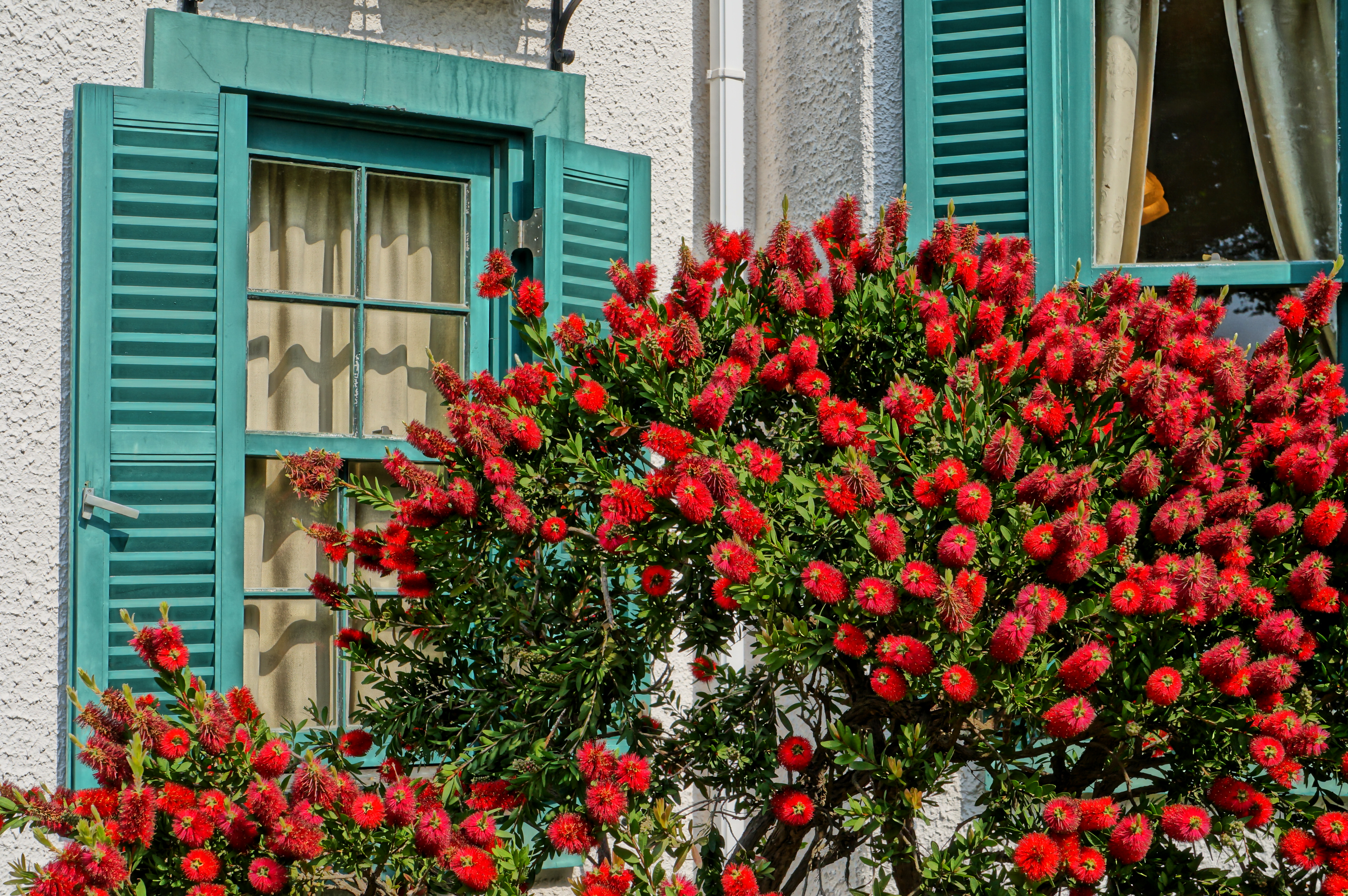 <b>絵画調HDR / NEX-F3 / E 18-55mm F3.5-5.6 OSS / 約6.7MB / 4,912×3,264 / 1/320秒 / F9 / 0EV / ISO200 / WB：太陽光 / 41mm</b>