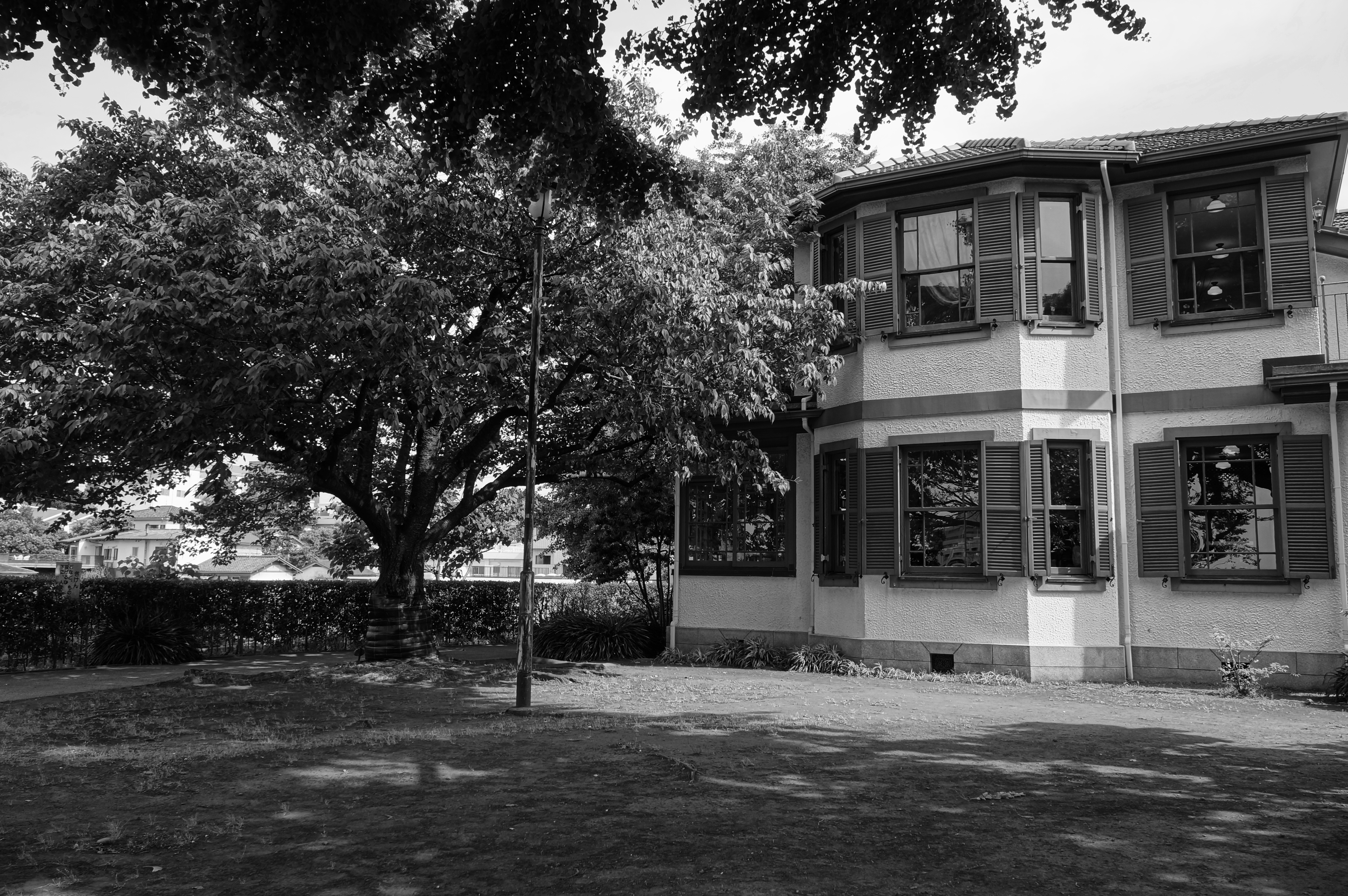 <b>リッチトーンモノクロ / NEX-F3 / E 18-55mm F3.5-5.6 OSS / 約6.4MB / 4,912×3,264 / 1/200秒 / F6.3 / 0EV / ISO200 / WB：太陽光 / 18mm</b>