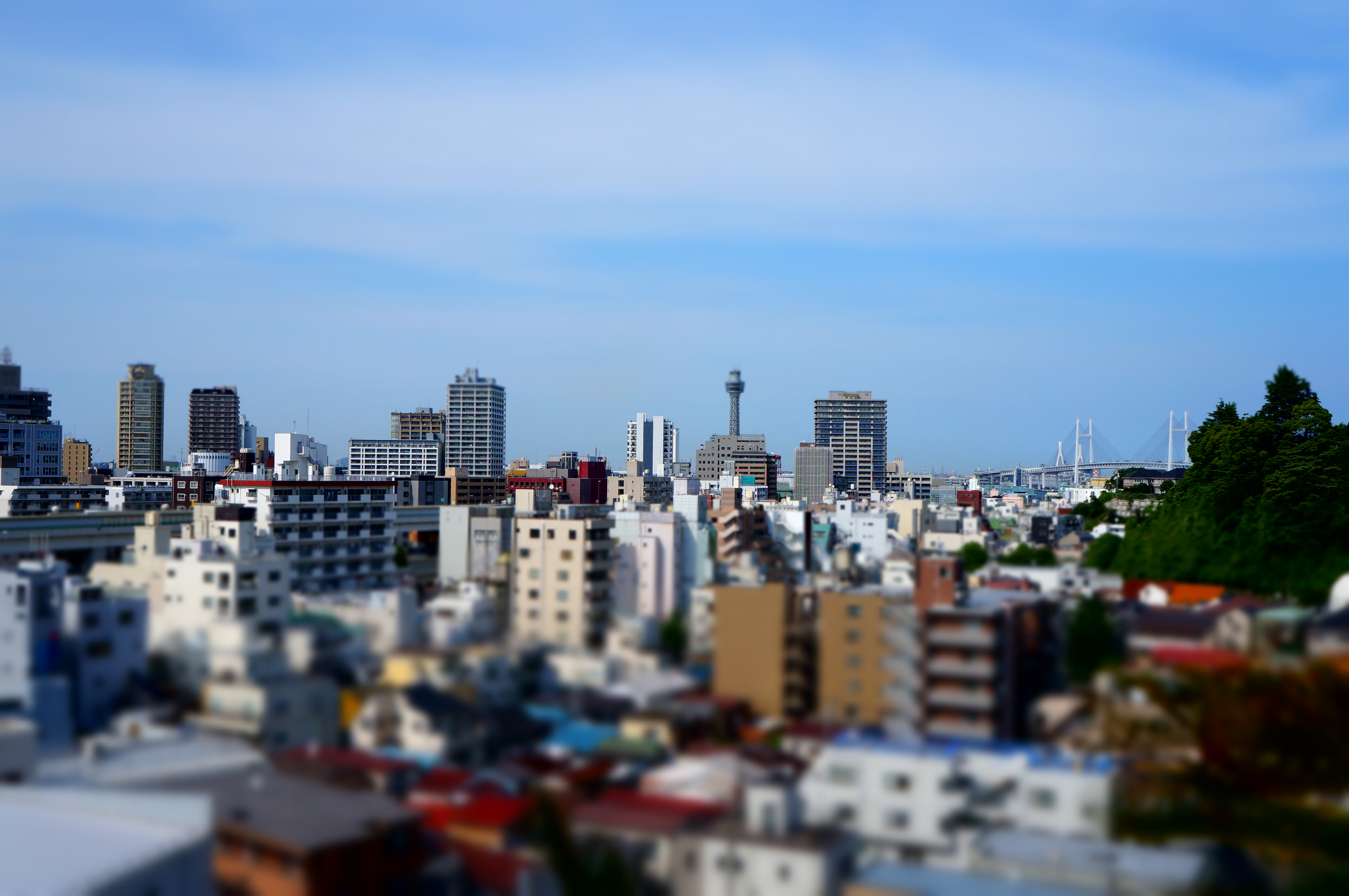 <b>ミニチュア / NEX-F3 / E 18-55mm F3.5-5.6 OSS / 約2.5MB / 4,912×3,264 / 1/1000秒 / F8 / 0EV / ISO200 / WB：太陽光 / 24mm</b>