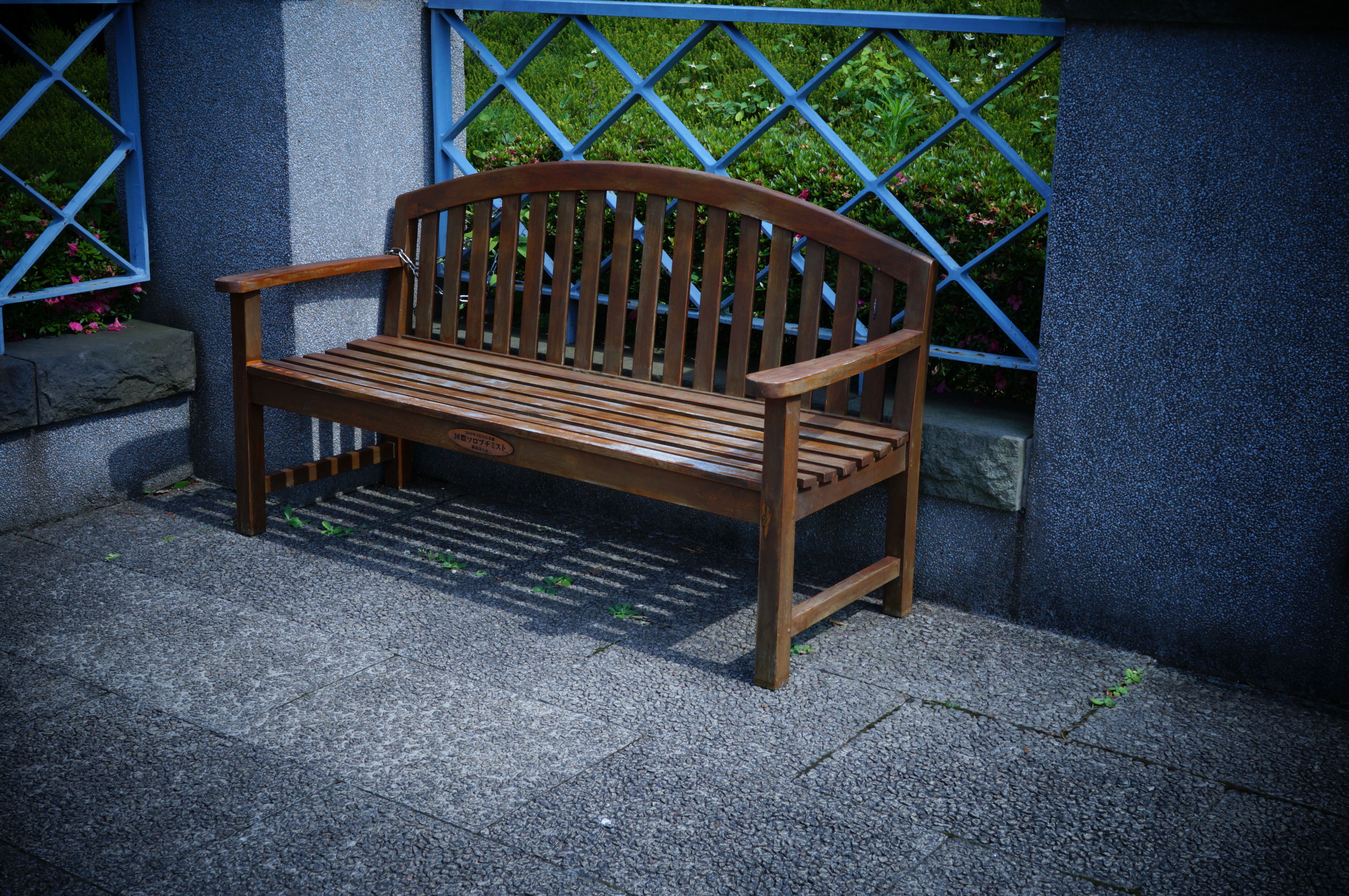 <b>トイカメラ（クール） / NEX-F3 / E 18-55mm F3.5-5.6 OSS / 約6.7MB / 4,912×3,264 / 1/400秒 / F8 / 0EV / ISO200 / WB：太陽光 / 29mm</b>