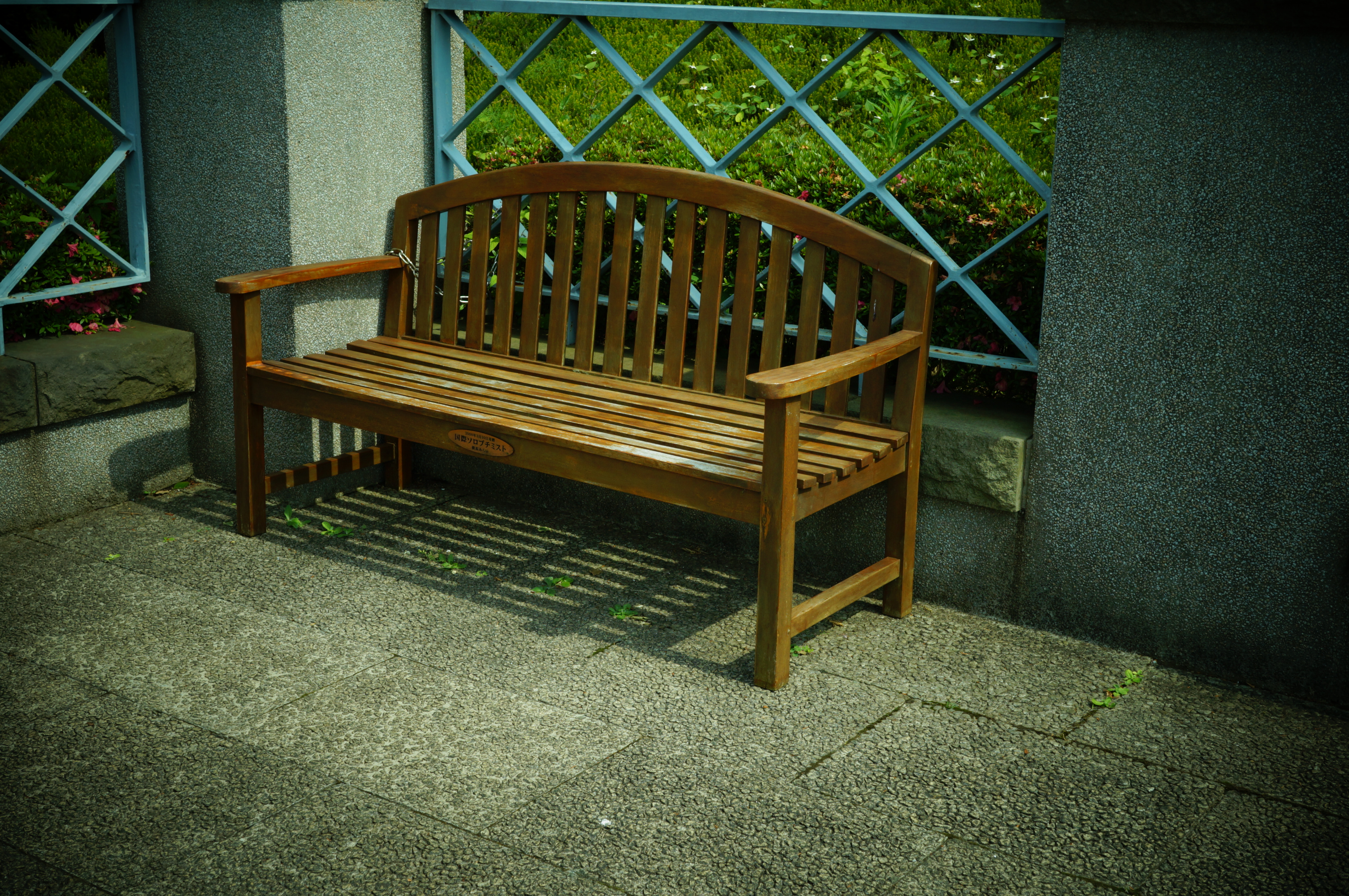 <b>トイカメラ（グリーン） / NEX-F3 / E 18-55mm F3.5-5.6 OSS / 約6.7MB / 4,912×3,264 / 1/500秒 / F8 / 0EV / ISO200 / WB：太陽光 / 29mm</b>