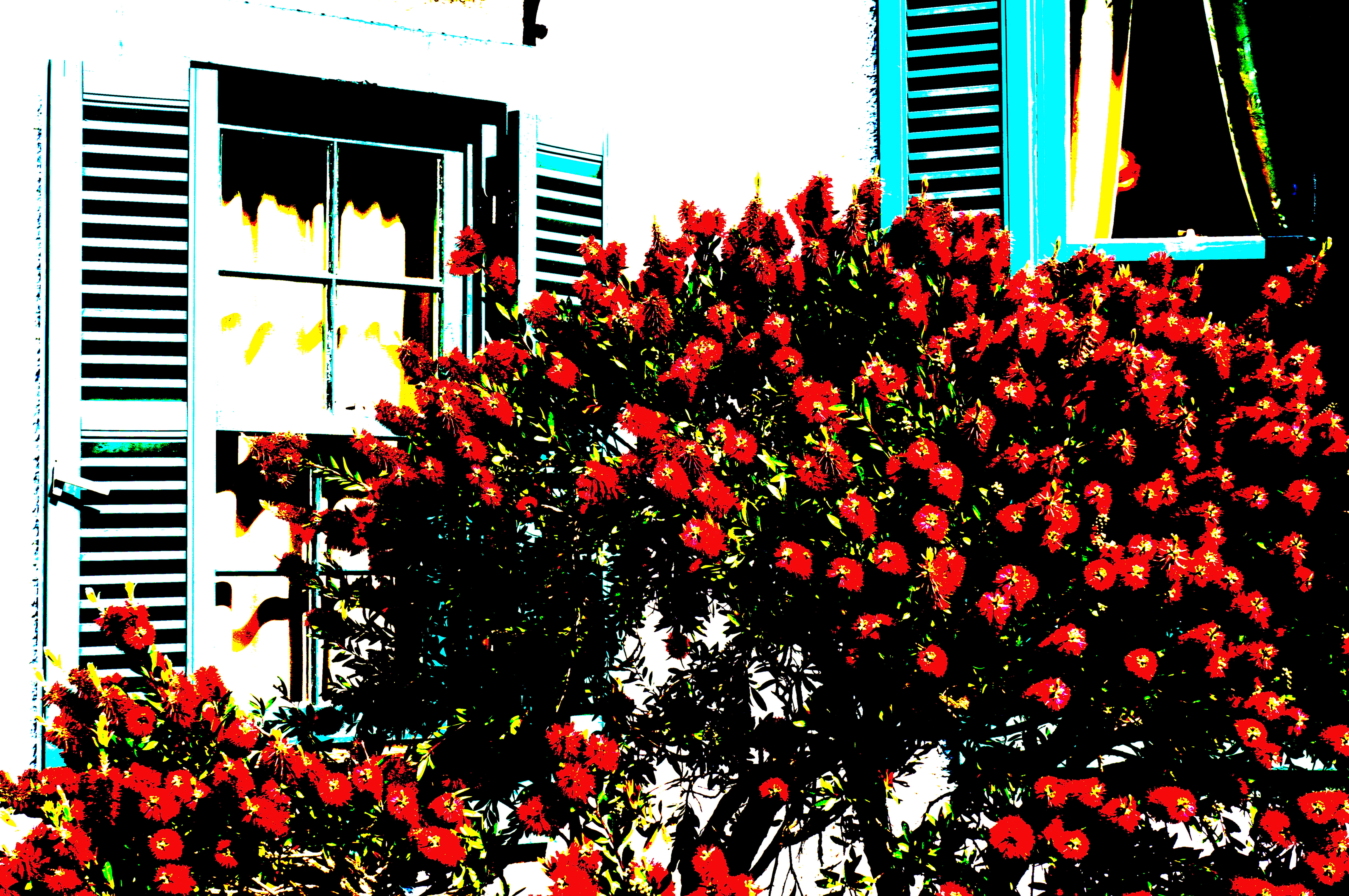 <b>ポスタリゼーションカラー / NEX-F3 / E 18-55mm F3.5-5.6 OSS / 約6.9MB / 4,912×3,264 / 1/320秒 / F9 / 0EV / ISO200 / WB：太陽光 / 41mm</b>