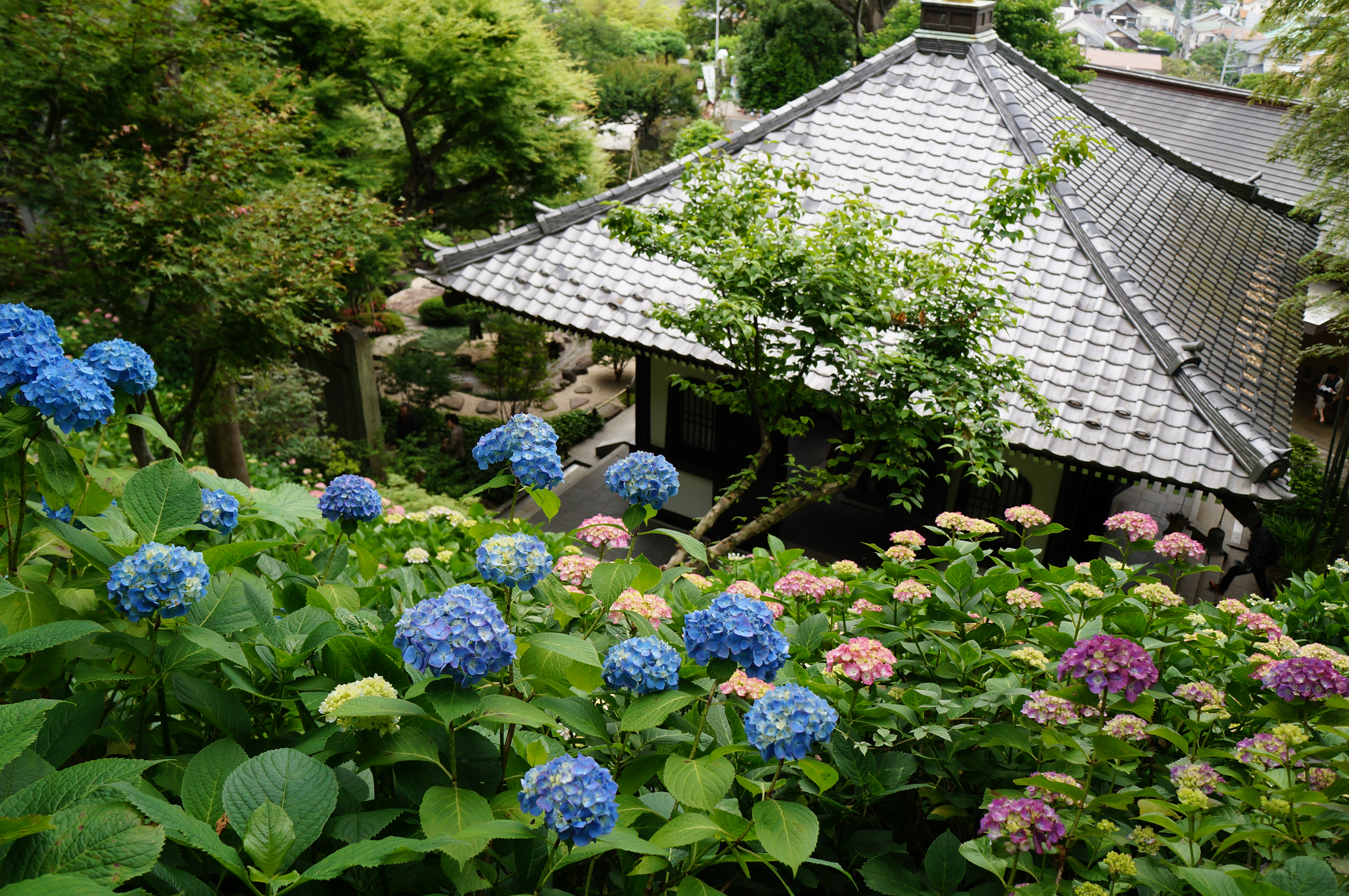 <b>NEX-F3 / E 18-55mm F3.5-5.6 OSS / 約7.1MB / 4,912×3,264 / 1/60秒 / F5.6 / 0EV / ISO320 / 絞り優先AE / WB：曇天 / 18mm</b>