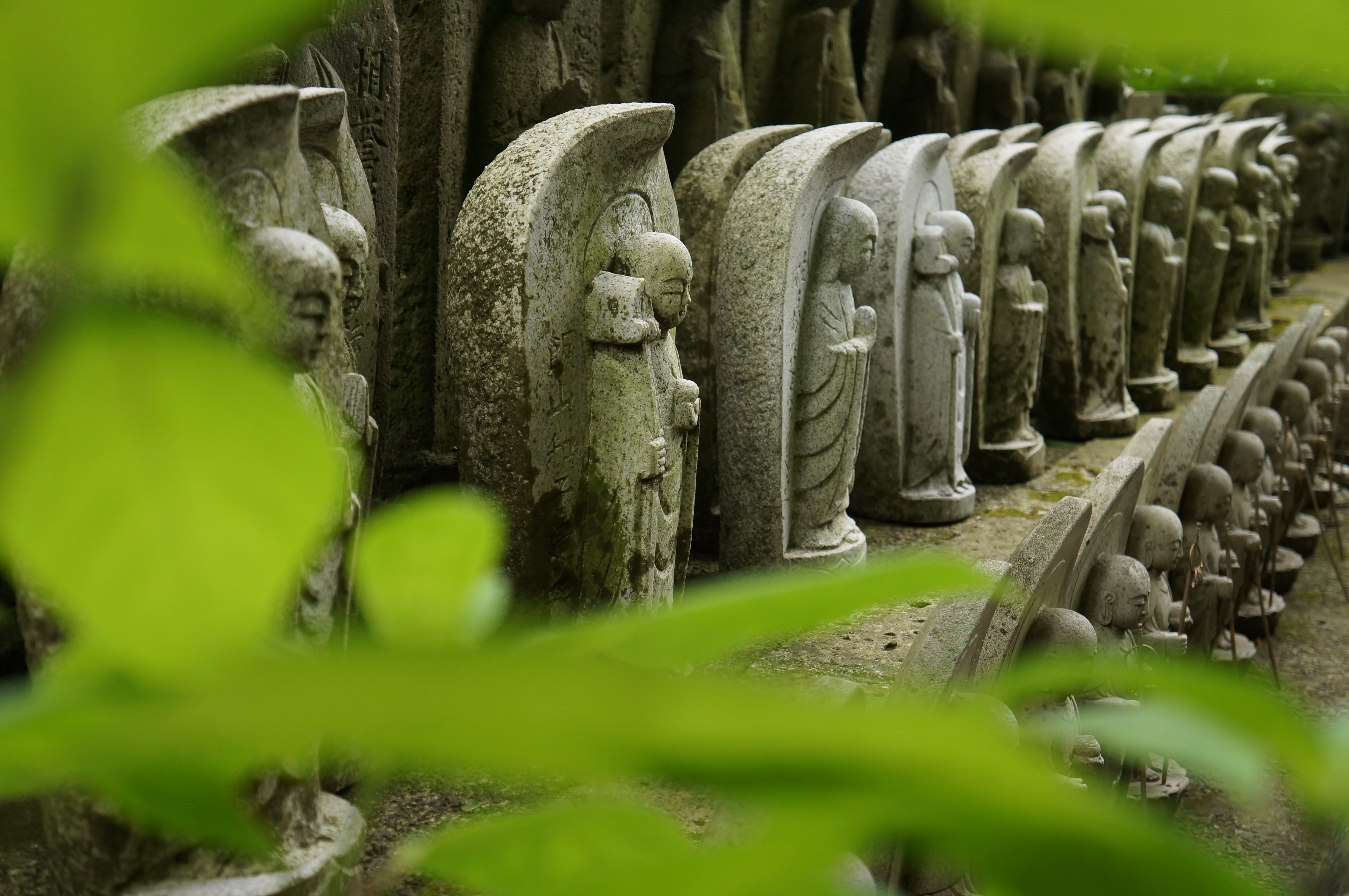 <b>NEX-F3 / E 18-55mm F3.5-5.6 OSS / 約3.9MB / 4,912×3,264 / 1/60秒 / F4.5 / 0EV / ISO500 / 絞り優先AE / WB：曇天 / 33mm</b>