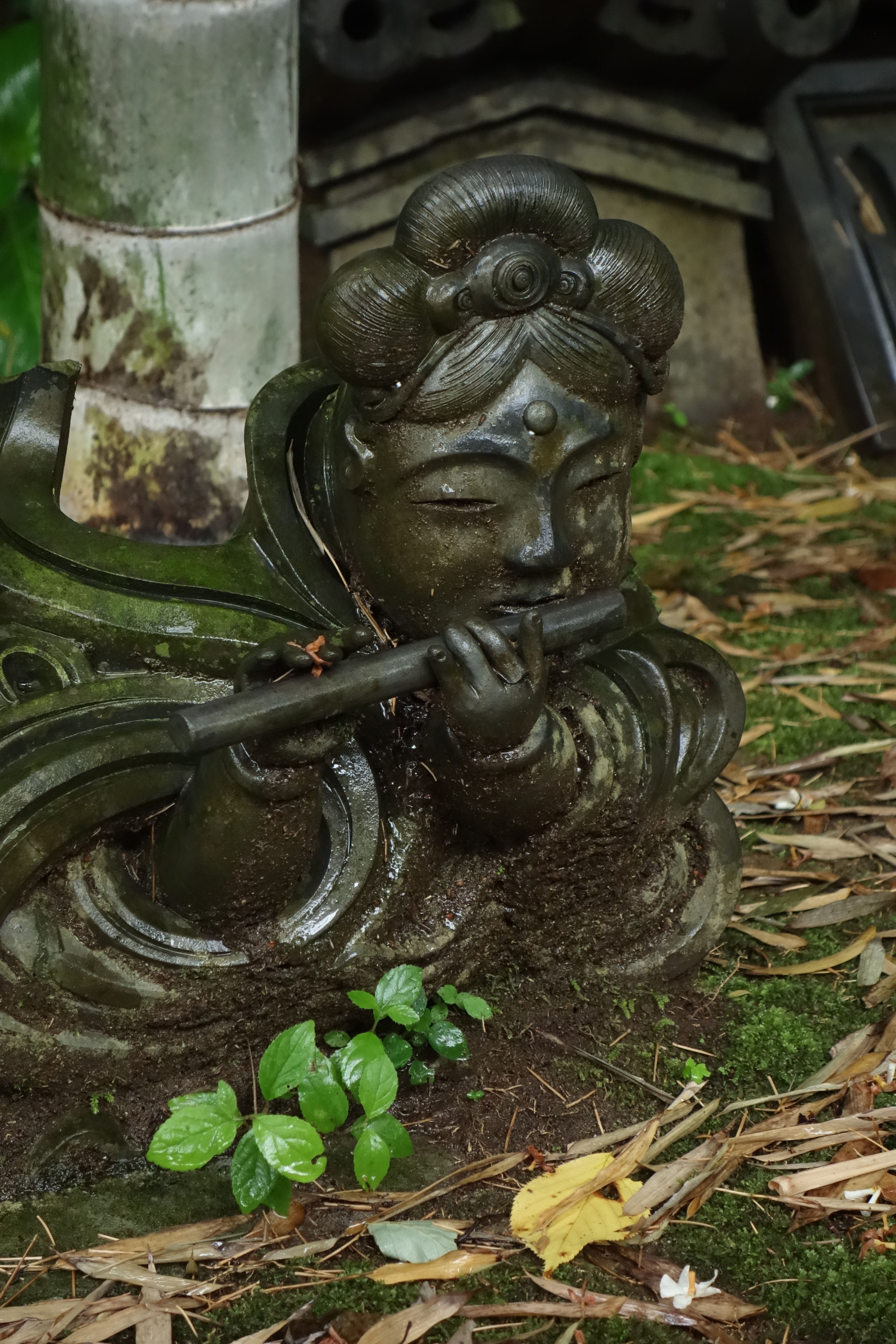 <b>DSC-RX100 / 約5.4MB / 3,648×5,472 / 1/125秒 / F5.6 / -1EV / ISO4000 / 37mm / マルチショットNR</b>