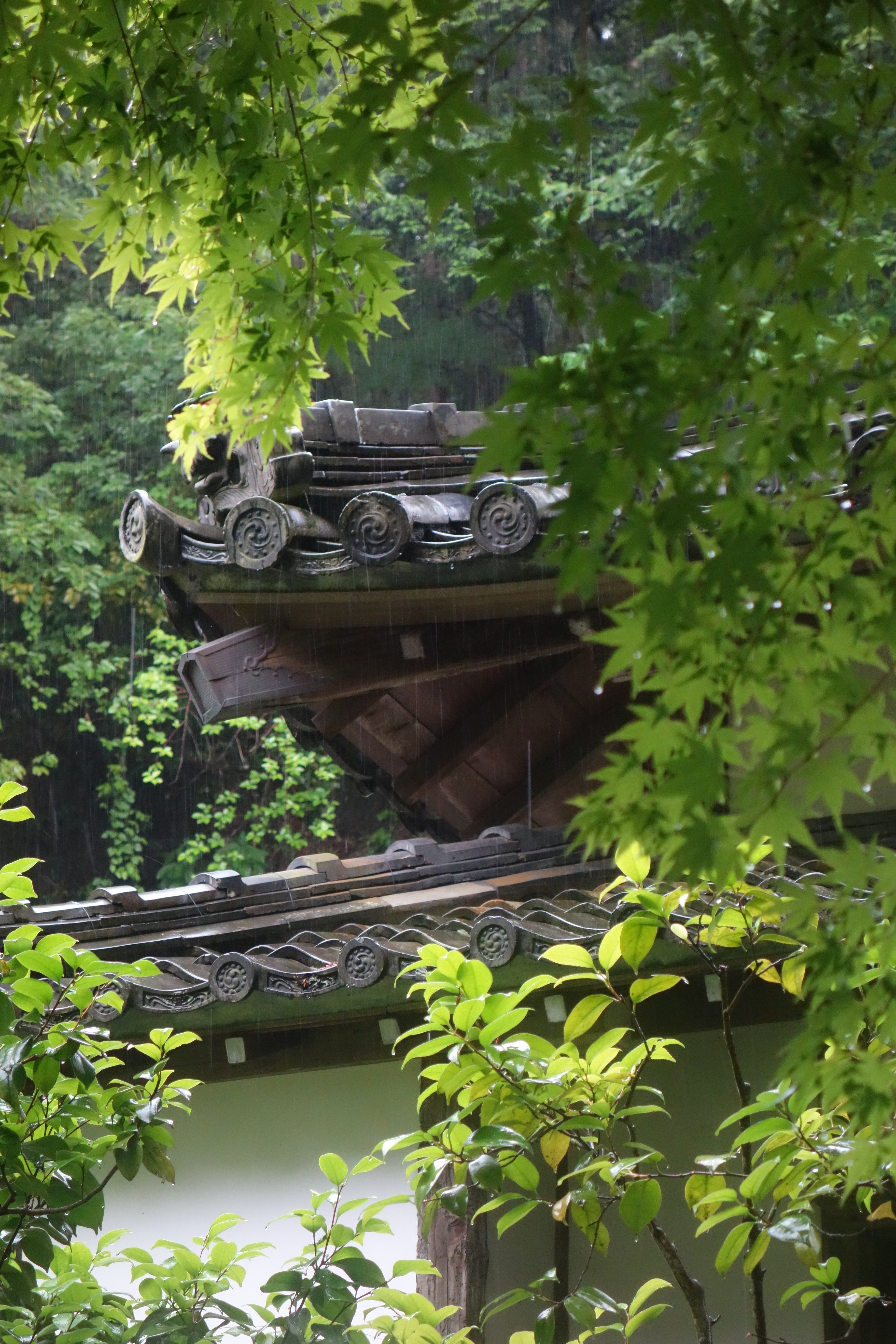 <b>DSC-RX100 / 約6.4MB / 3,648×5,472 / 1/60秒 / F4.9 / -0.7EV / ISO1600 / 37mm / シーンモード：風景</b>