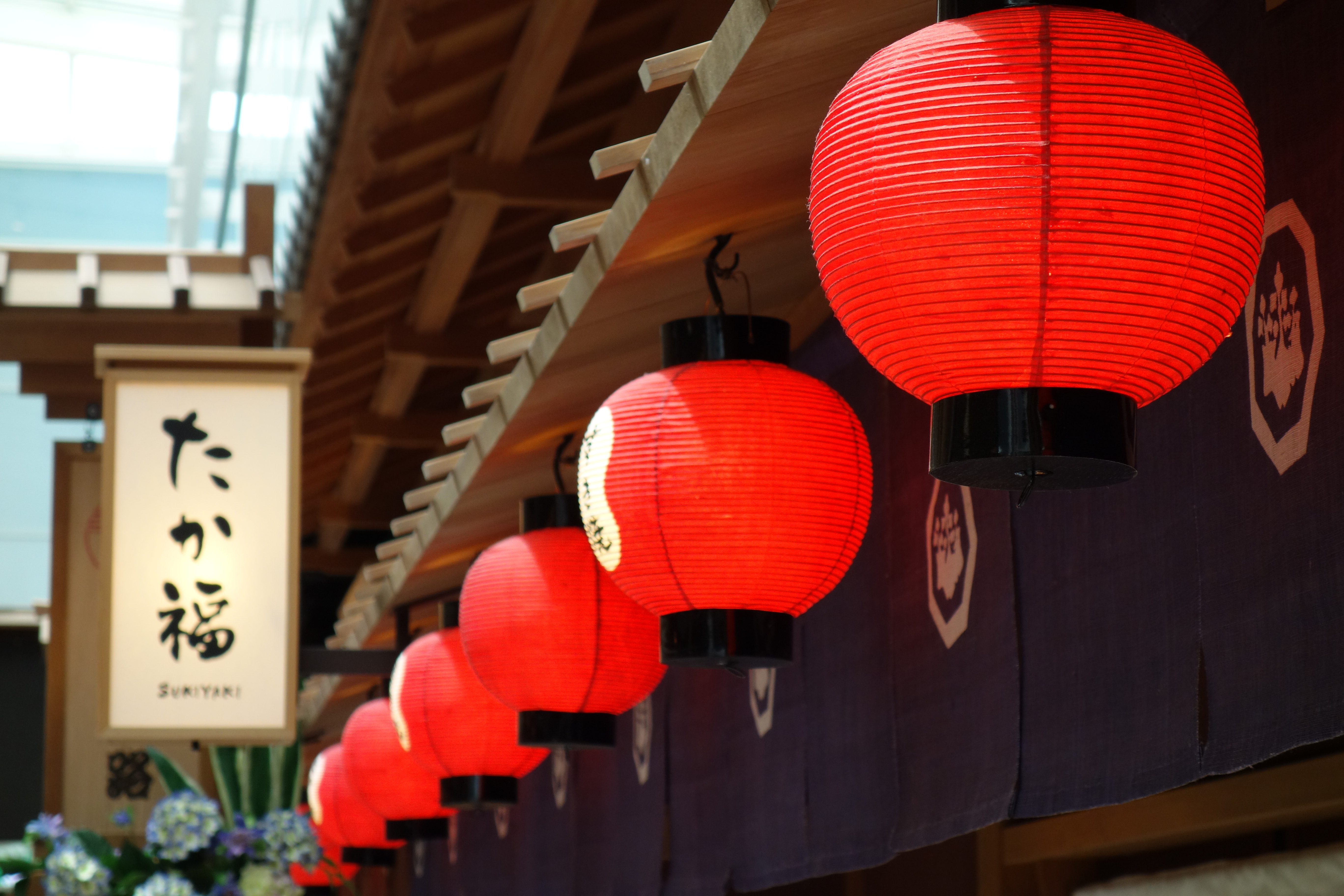 <b>DSC-RX100 / 約5.0MB / 5,472×3,648 / 1/125秒 / F4.9 / +0.3EV / ISO400 / 37mm</b>