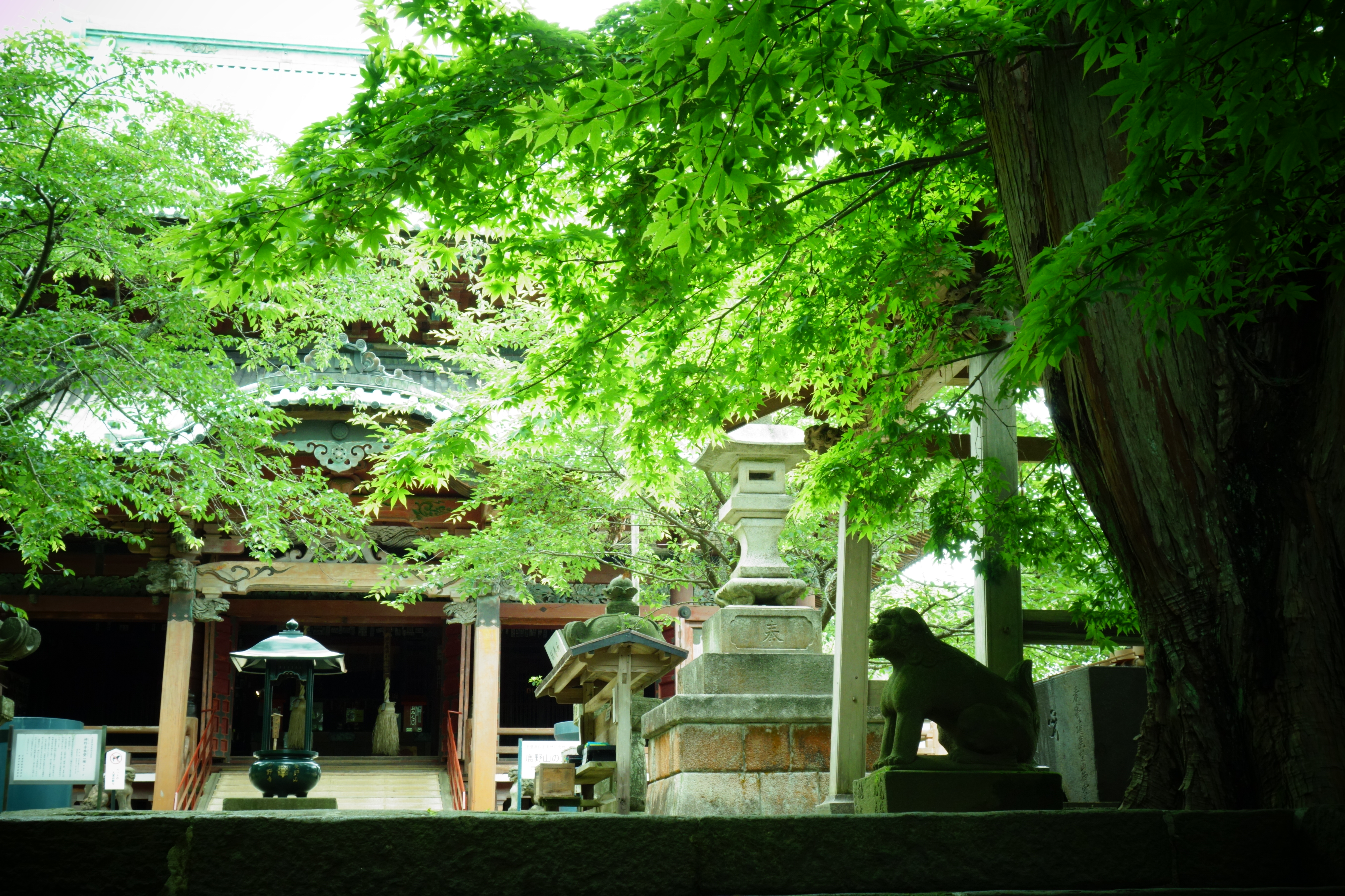 <b>トイカメラ：グリーン / DSC-RX100 / 約7.2MB / 5,472×3,648 / 1/50秒 / F7 / +1EV / ISO250 / 17.2mm</b>