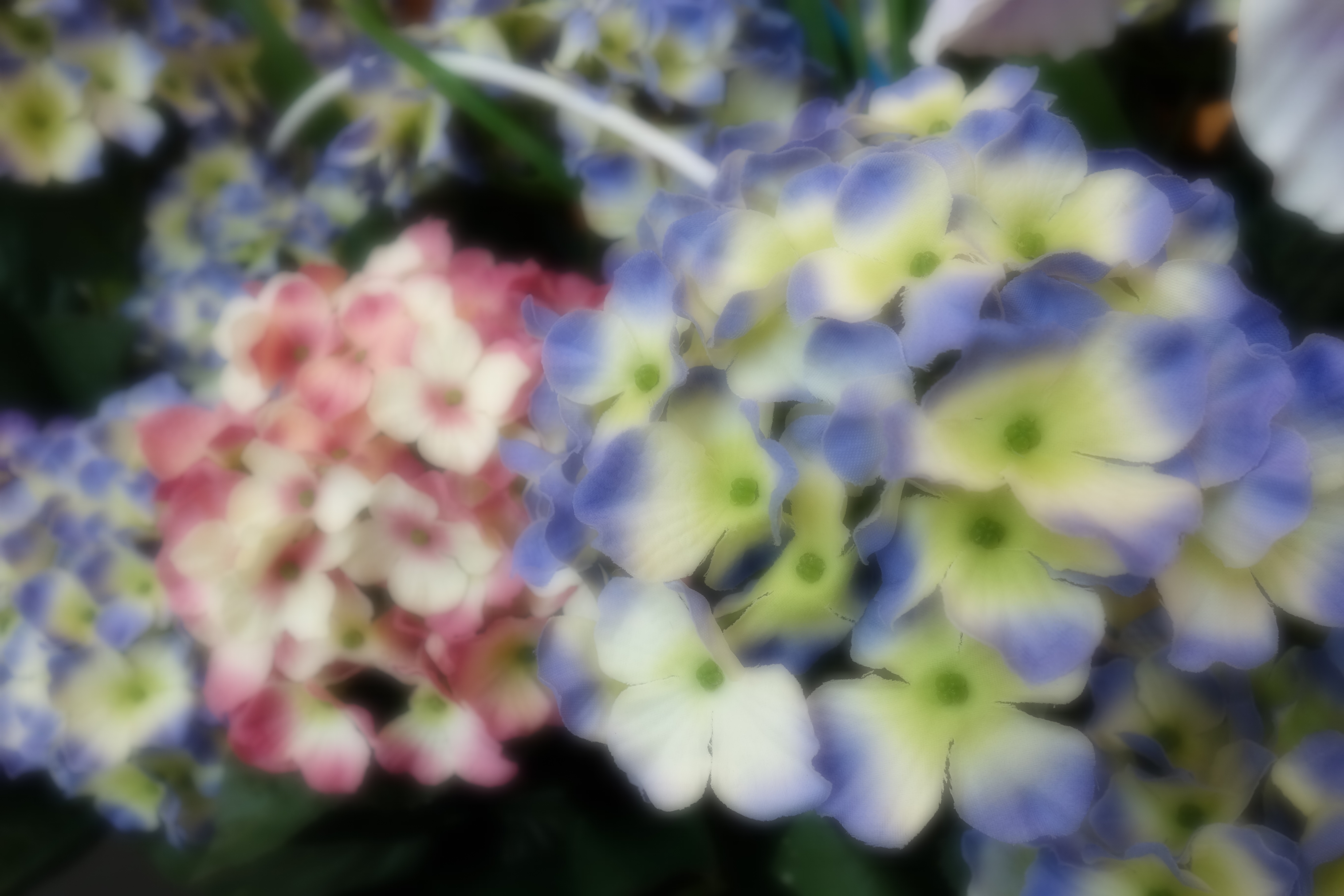 <b>ソフトフォーカス：強 / DSC-RX100 / 約2.8MB / 5,472×3,648 / 1/30秒 / F4 / +0.7EV / ISO400 / 10.4mm</b>