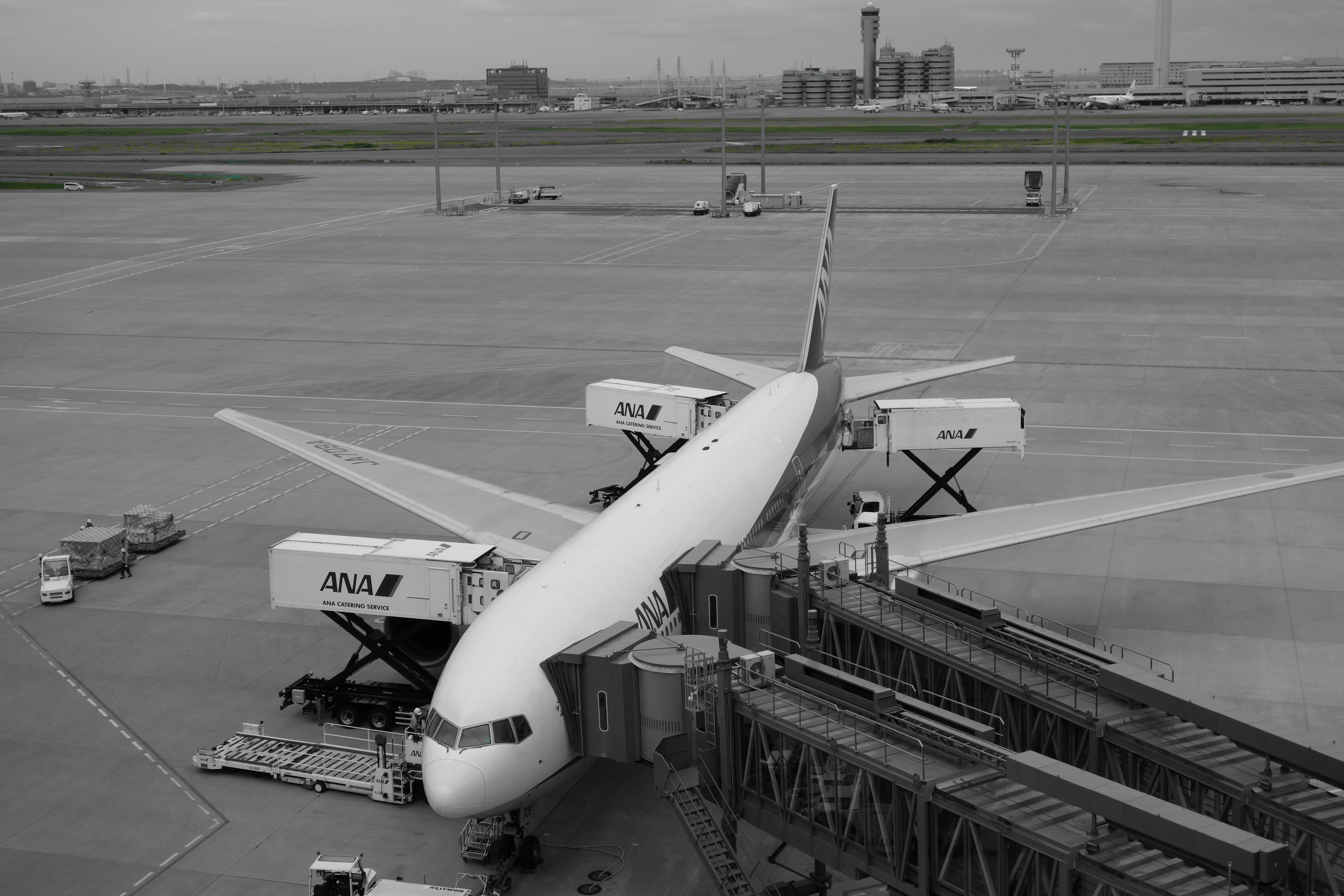 <b>ピクチャーエフェクト：パートカラー（グリーン） / DSC-RX100 / 約4.7MB / 5,472×3,648 / 1/1,250秒 / F5.6 / 0EV / ISO200 / 17.6mm</b>