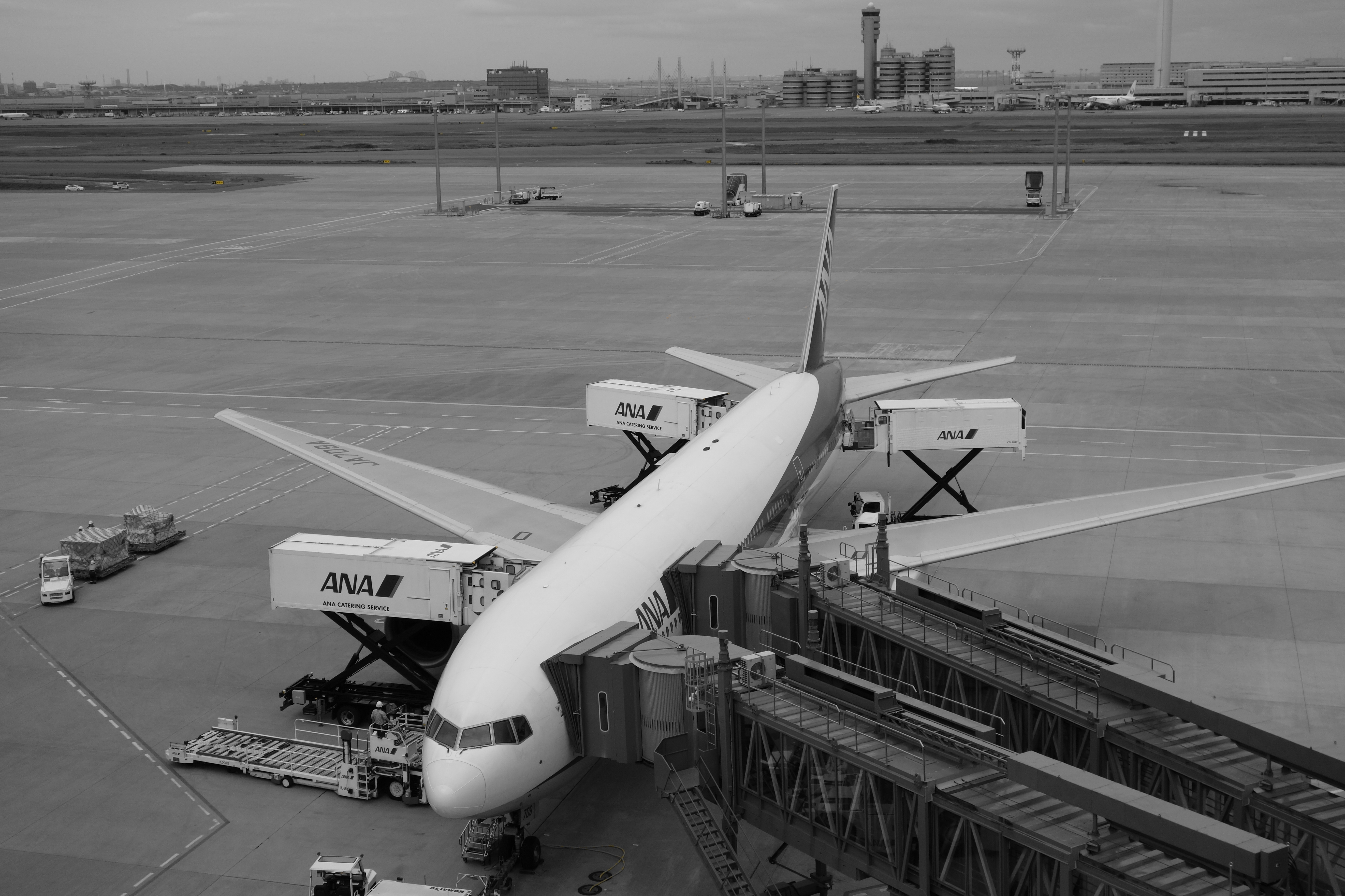 <b>ピクチャーエフェクト：パートカラー（イエロー） / DSC-RX100 / 約4.7MB / 5,472×3,648 / 1/1,250秒 / F5.6 / 0EV / ISO200 / 17.6mm</b>