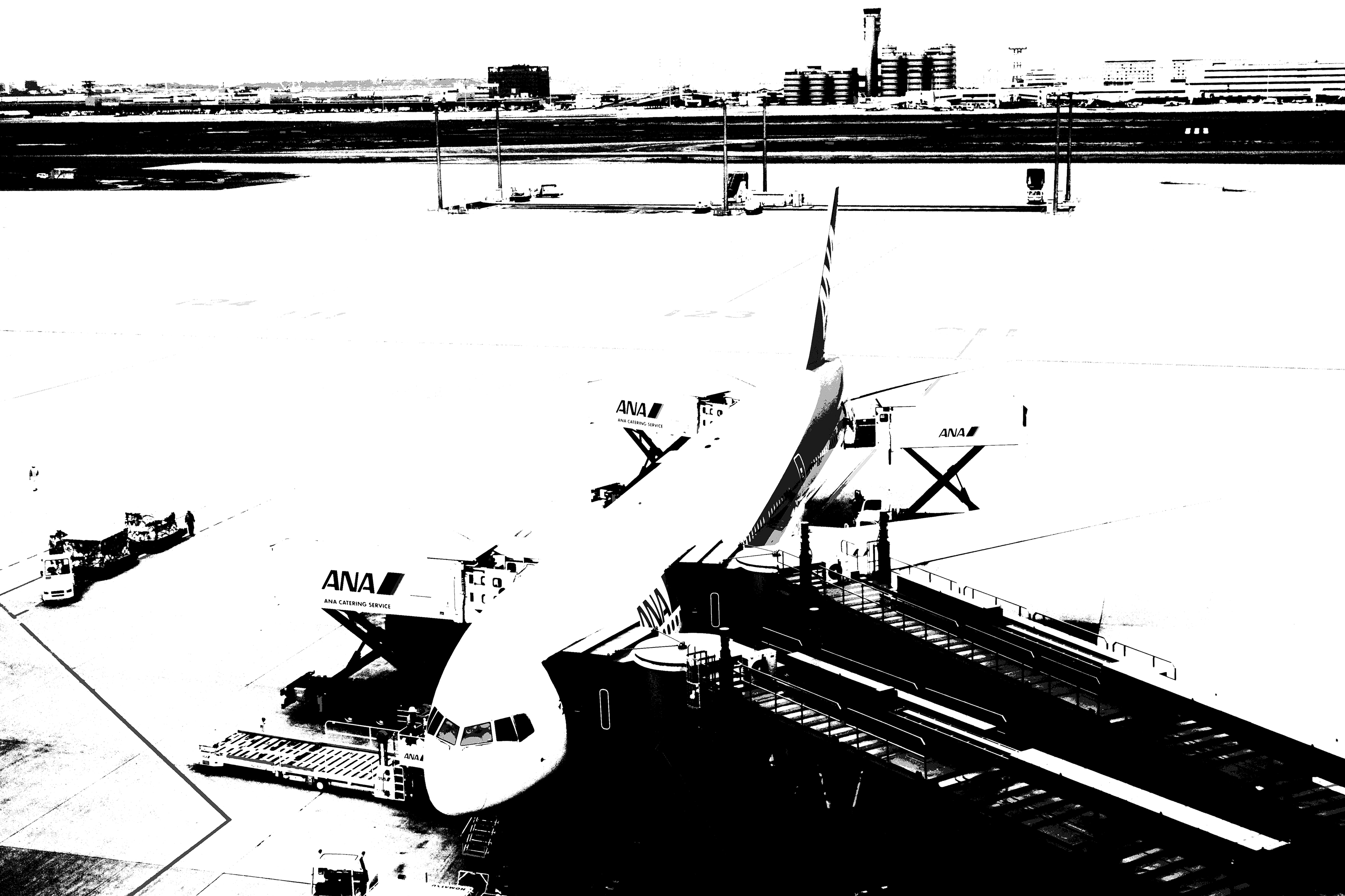 <b>ピクチャーエフェクト：ポスタリゼーション（白黒） / DSC-RX100 / 約3.0MB / 5,472×3,648 / 1/1,250秒 / F5.6 / 0EV / ISO200 / 17.6mm</b>