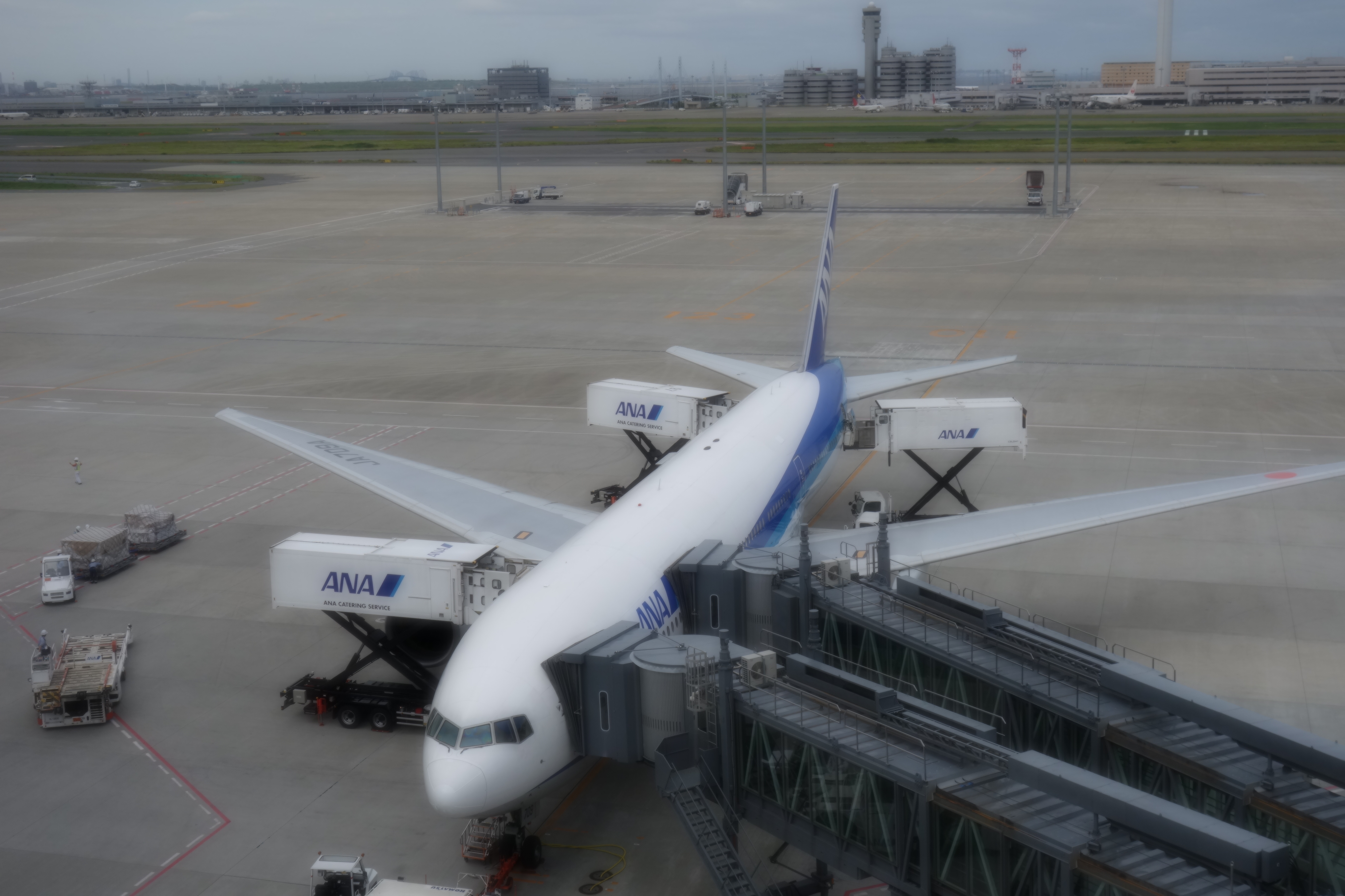 <b>ピクチャーエフェクト：ソフトフォーカス（弱） / DSC-RX100 / 約2.9MB / 5,472×3,648 / 1/1,250秒 / F5.6 / 0EV / ISO200 / 17.6mm</b>