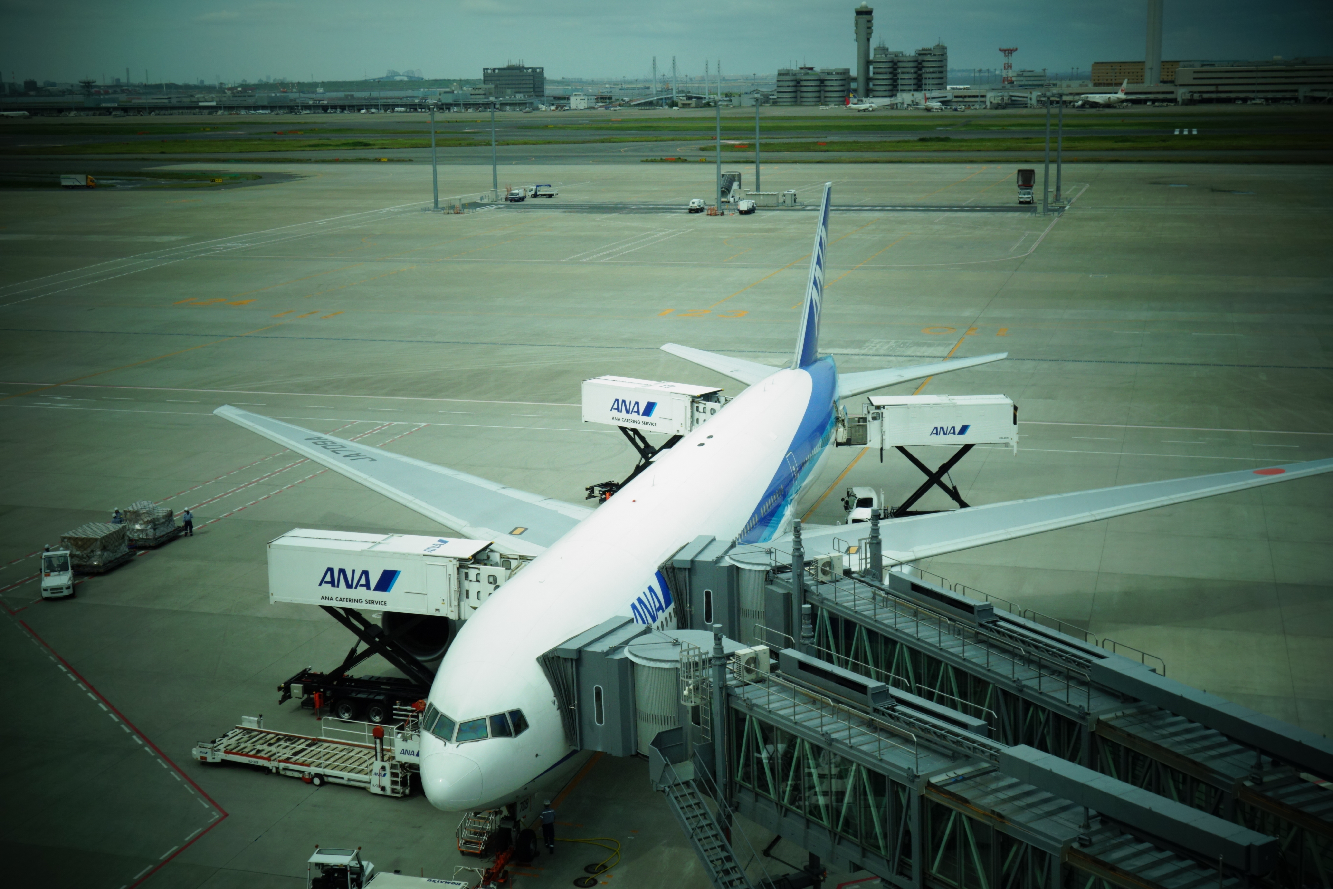 <b>ピクチャーエフェクト：トイカメラ（グリーン） / DSC-RX100 / 約4.6MB / 5,472×3,648 / 1/2,000秒 / F5.6 / 0EV / ISO200 / 17.6mm</b>