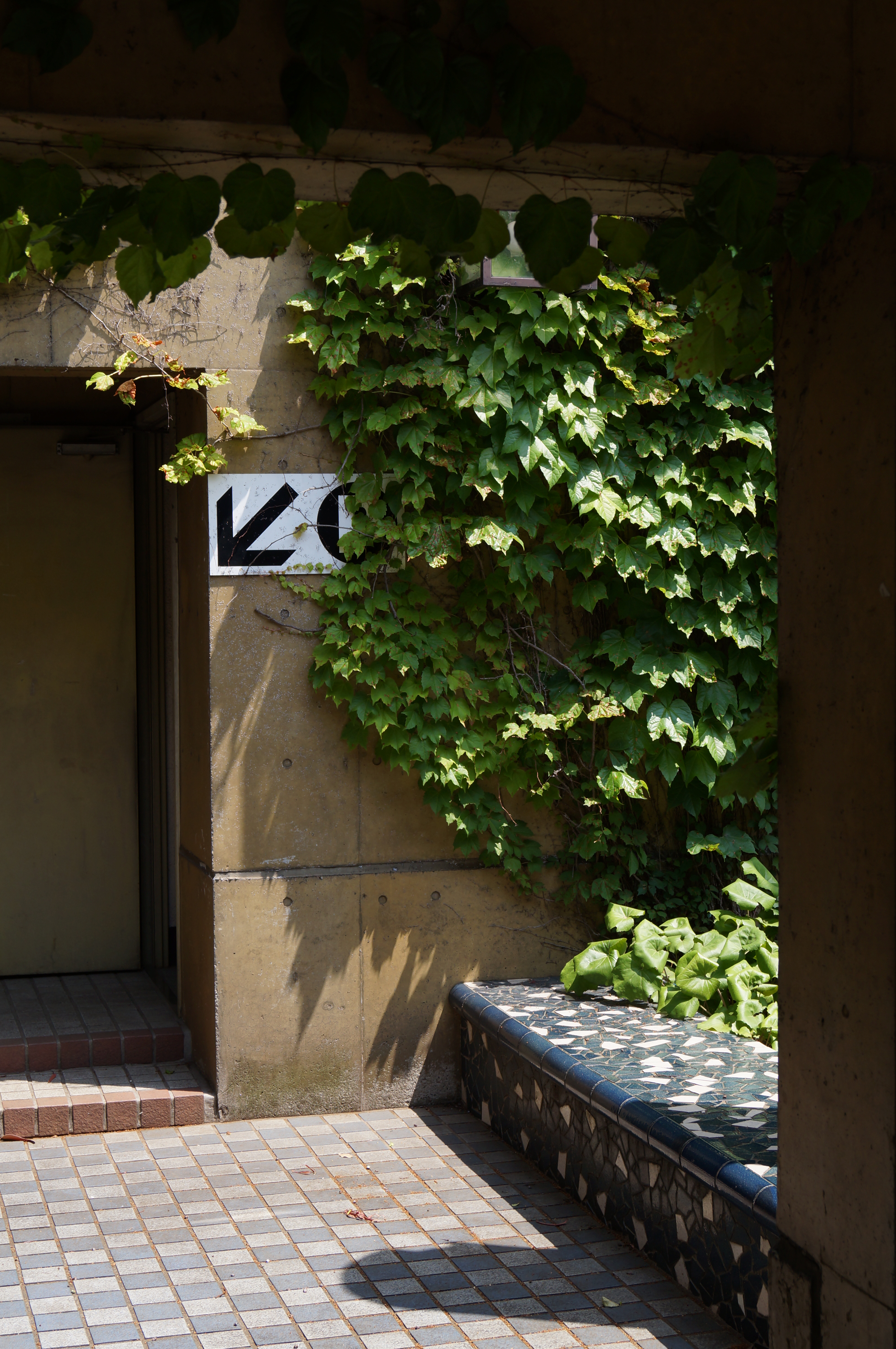 <b>α37 / DT 18-55mm F3.5-5.6 SAM / 約4.4MB / 3,264×4,912 / 1/160秒 / F8 / -1EV / ISO100 / 35mm</b>