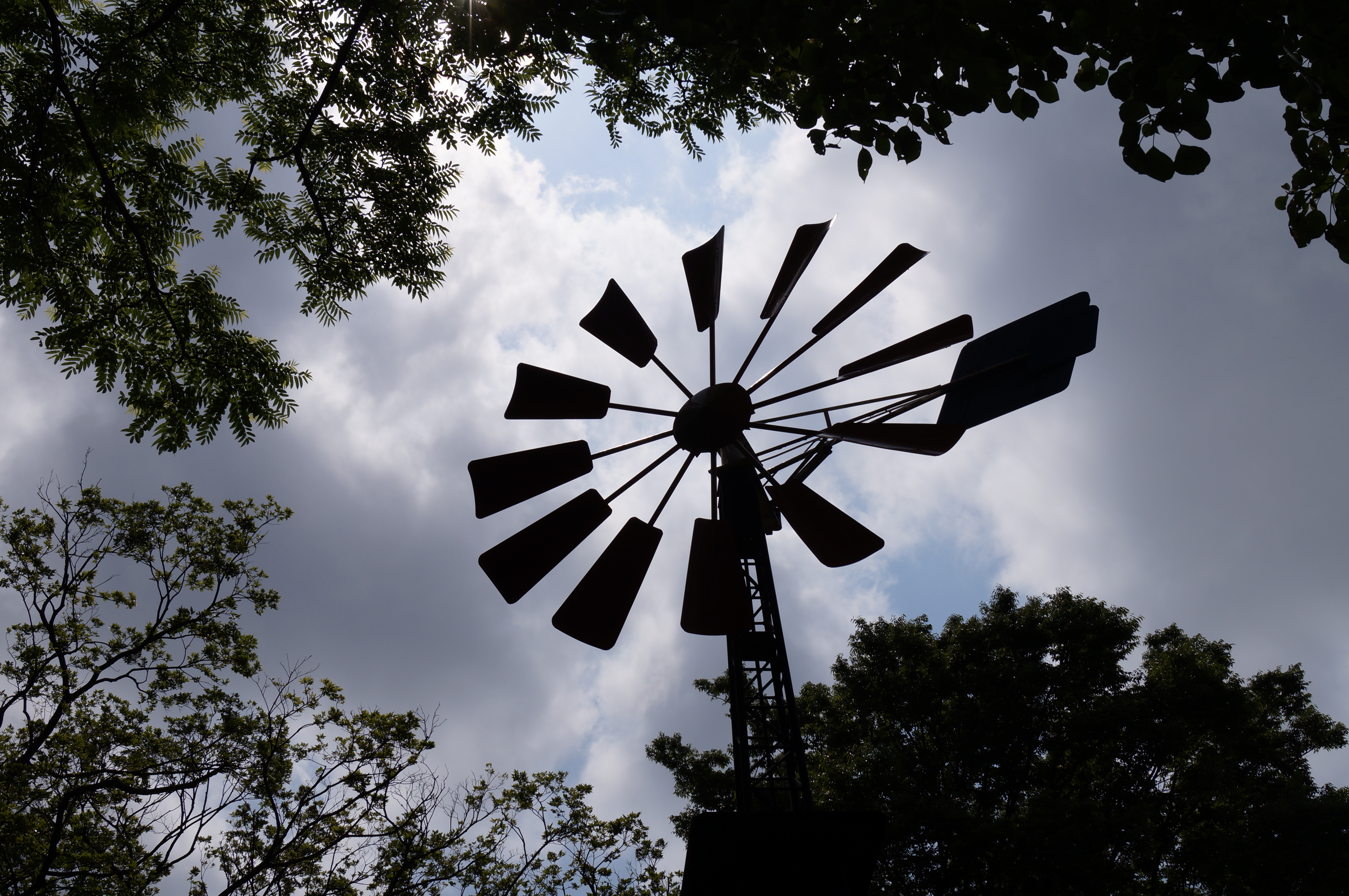 <b>α37 / DT 18-55mm F3.5-5.6 SAM / 約5.1MB / 4,912×3,264 / 1/1,600秒 / F10 / 0EV / ISO100 / 28mm</b>