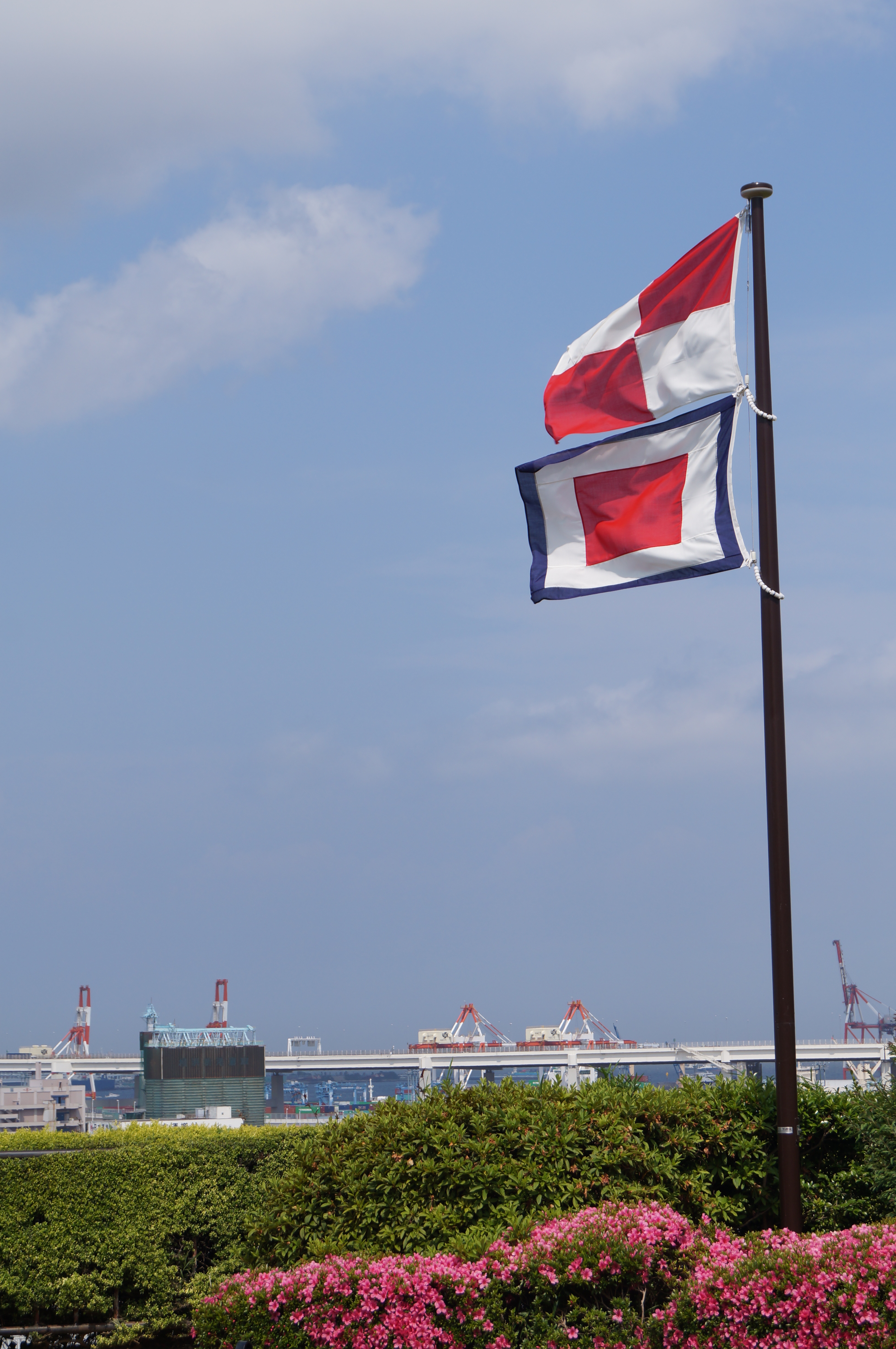 <b>α37 / DT 18-55mm F3.5-5.6 SAM / 約3.3MB / 3,264×4,912 / 1/500秒 / F9 / 0EV / ISO100 / 55mm</b>