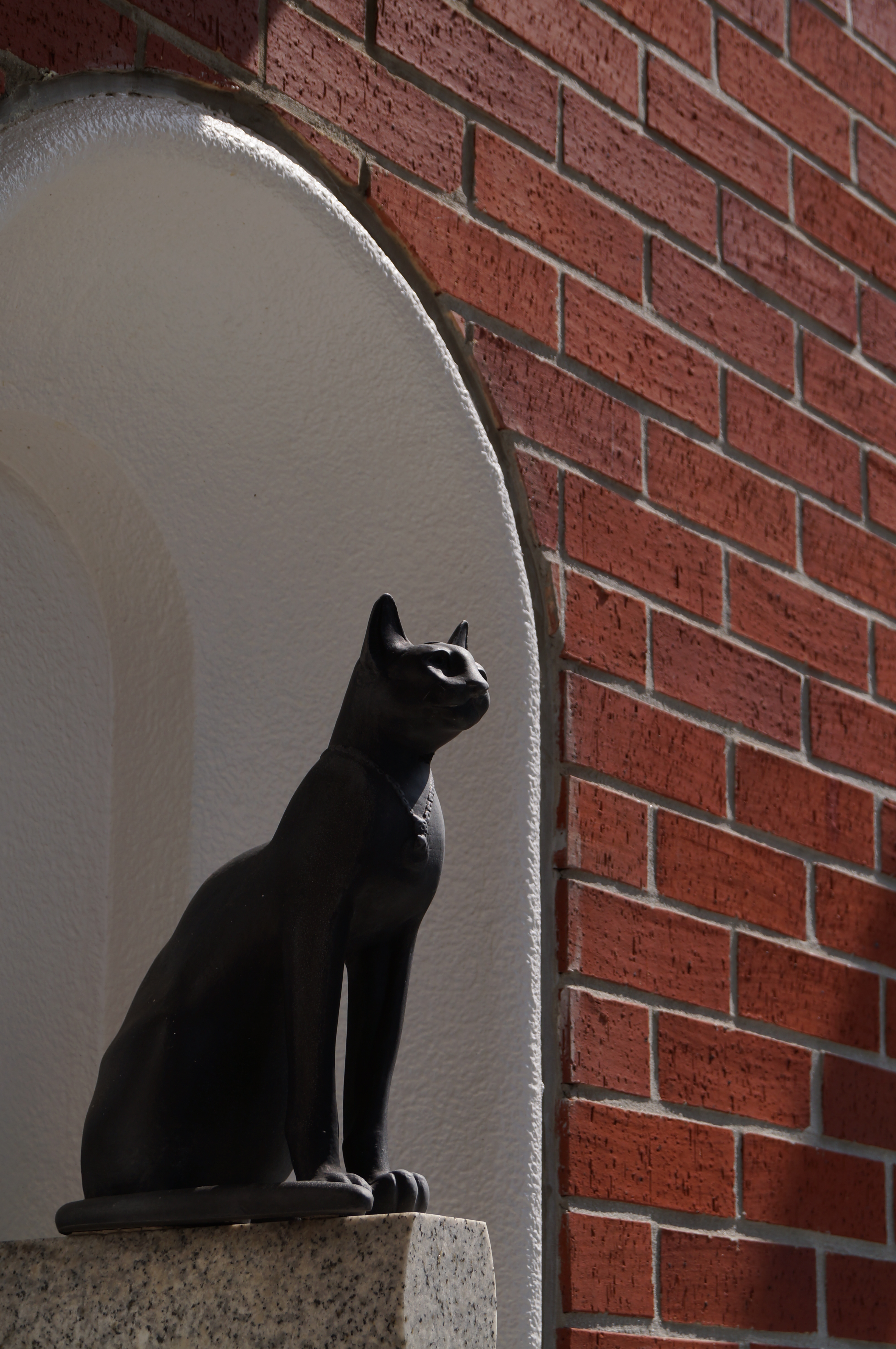 <b>α37 / DT 18-55mm F3.5-5.6 SAM / 約3.3MB / 3,264×4,912 / 1/320秒 / F9 / -1EV / ISO100 / 55mm</b>