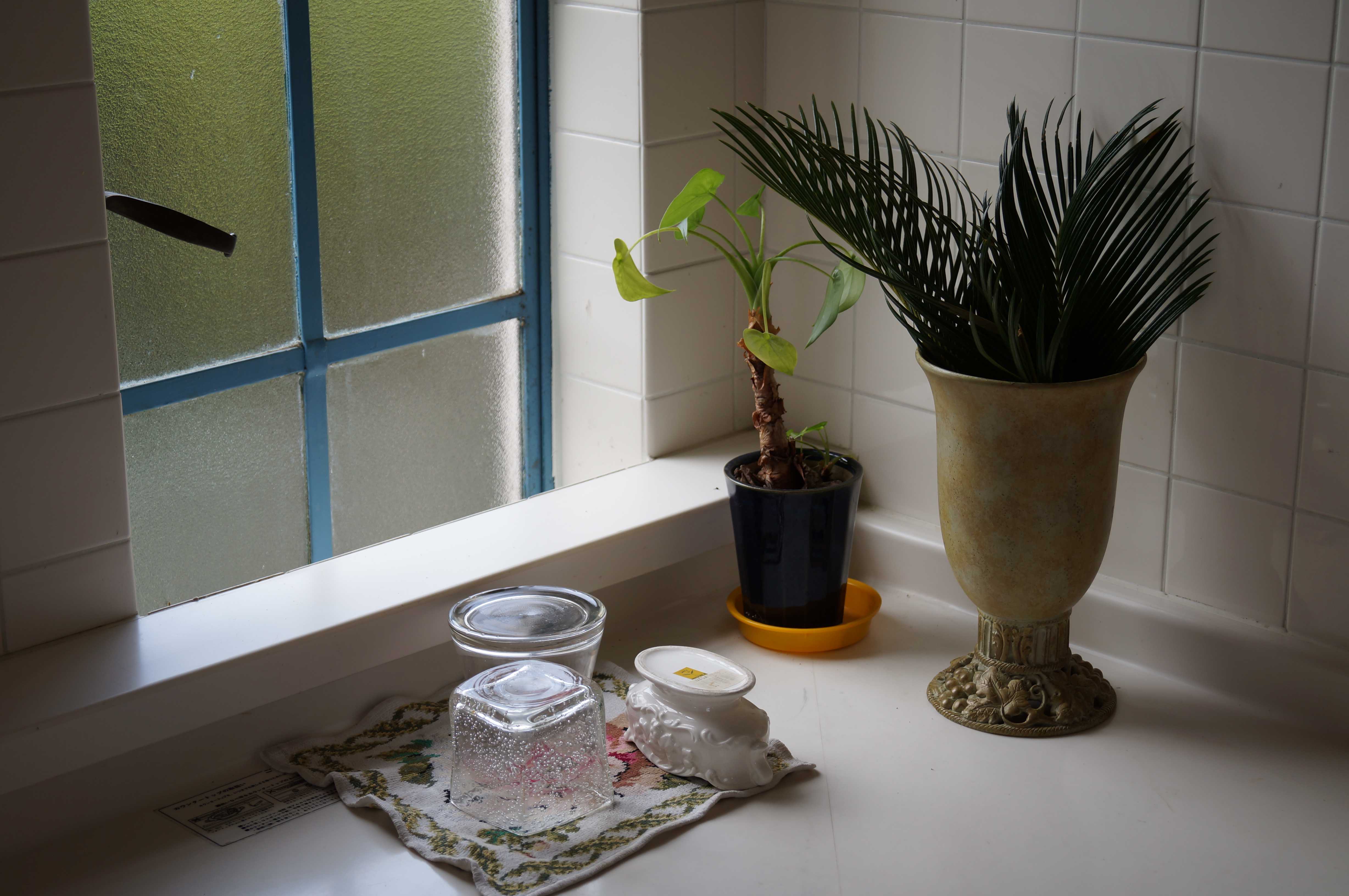 <b>α37 / DT 18-55mm F3.5-5.6 SAM / 約3.8MB / 4,912×3,264 / 1/80秒 / F5.6 / +0.7EV / ISO100 / 40mm</b>