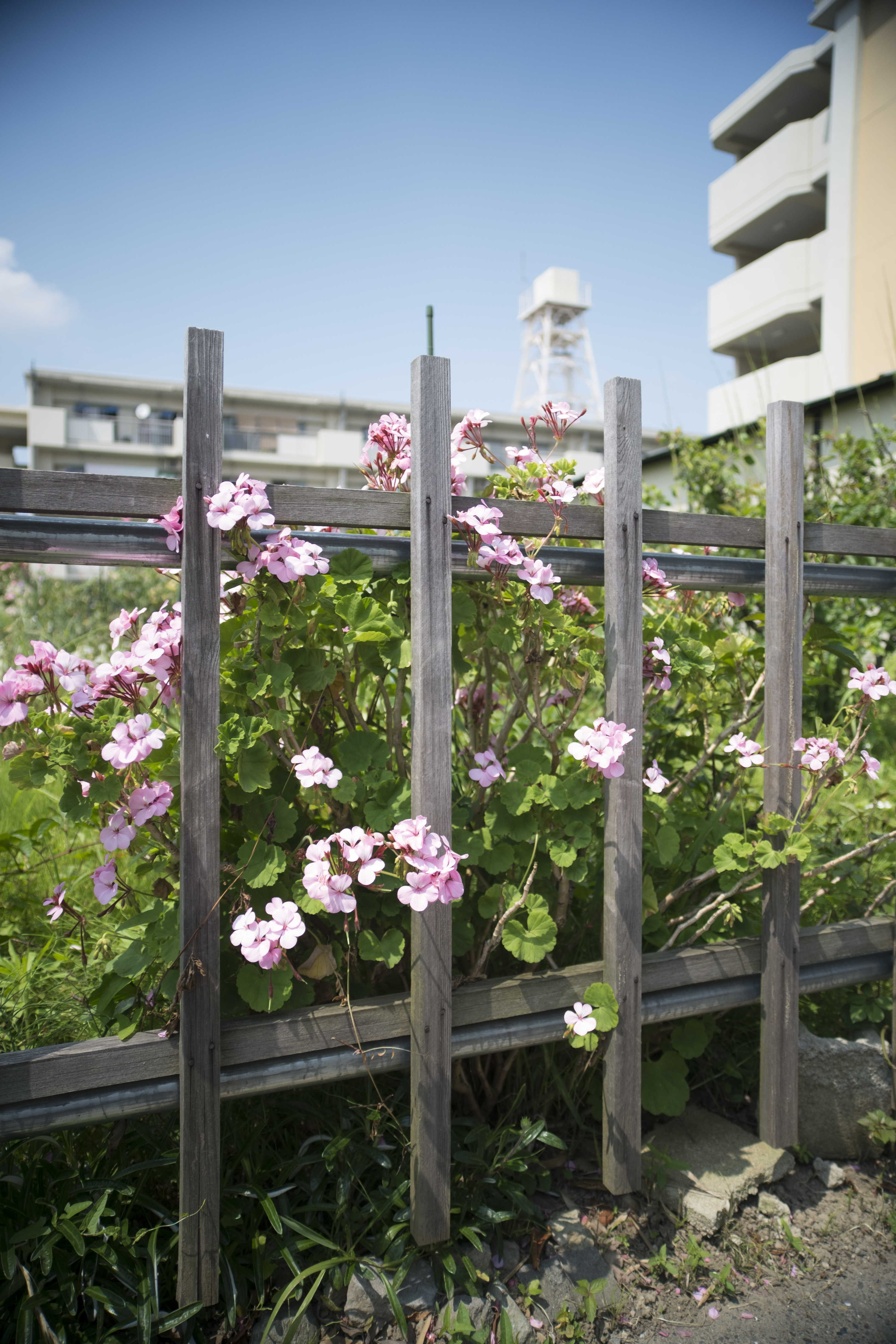 <b>X-Pro1 / LM16XC / 4,896×3,264 / 1/3200秒 / F2 / 0EV / ISO200 / WB:オート / 16mm</b>