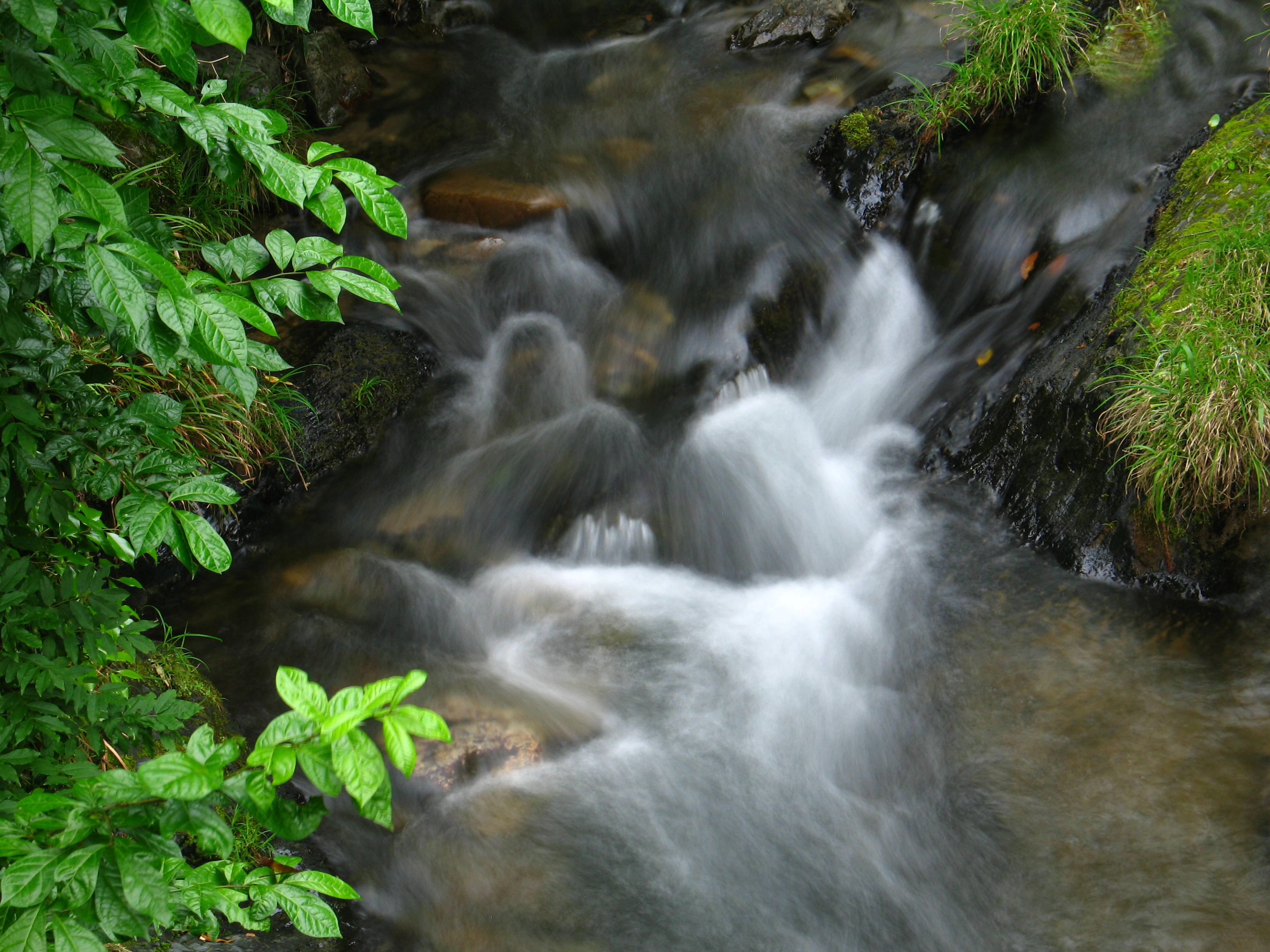 <b>PowerShot G6 / 約3.0MB / 3,072×2,304 / 1.0秒 / F8 / -0.7EV / ISO50 / WB:太陽光 / 28.8mm</b>