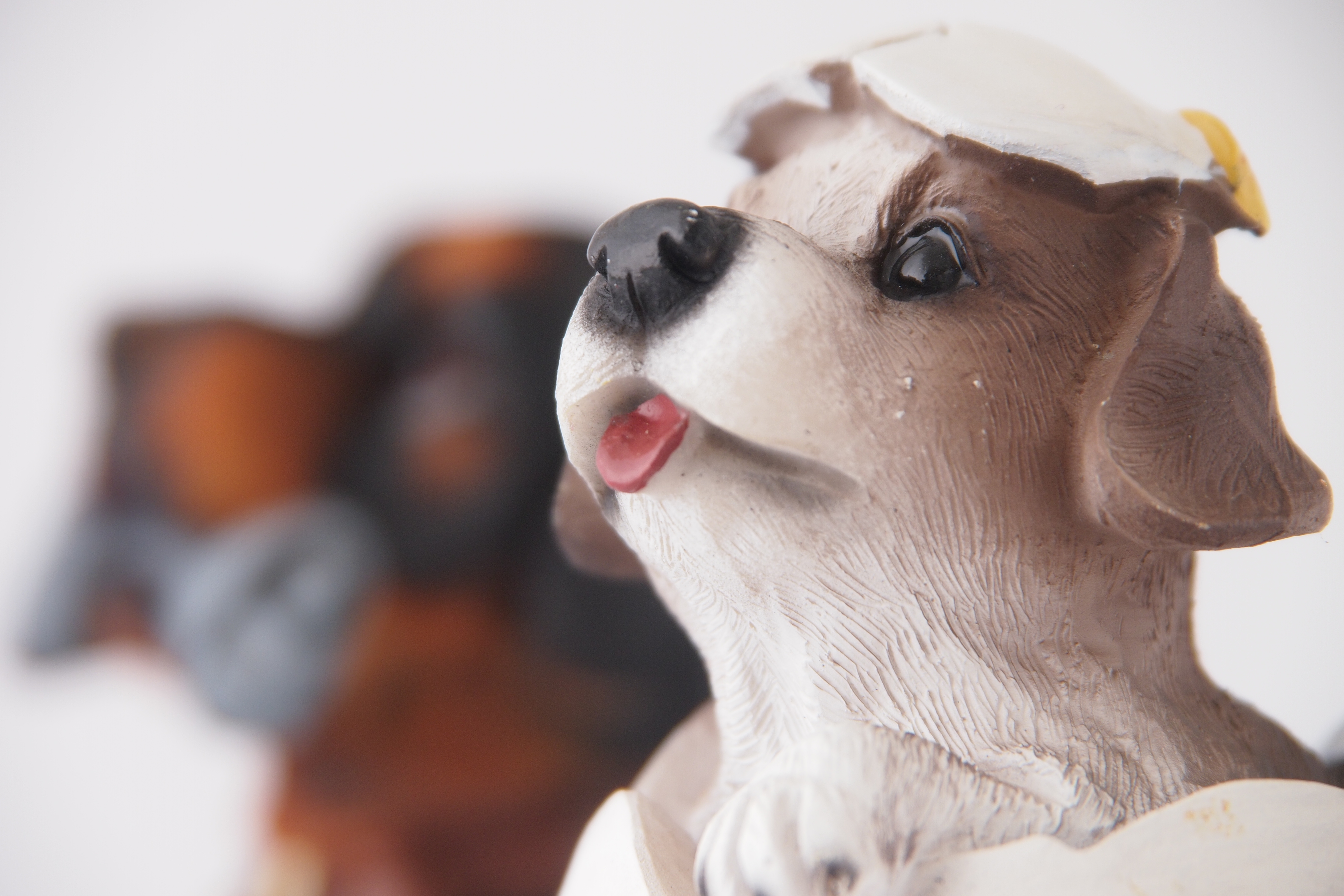 <b>E-P3 / M.ZUIKO DIGITAL ED 14-150mm F4-5.6 / 約5.1MB / 4,032×2,688 / 1/8秒 / F5.6 / +0.7EV / ISO200 / 絞り優先AE / WB：オート / 150mm</b>