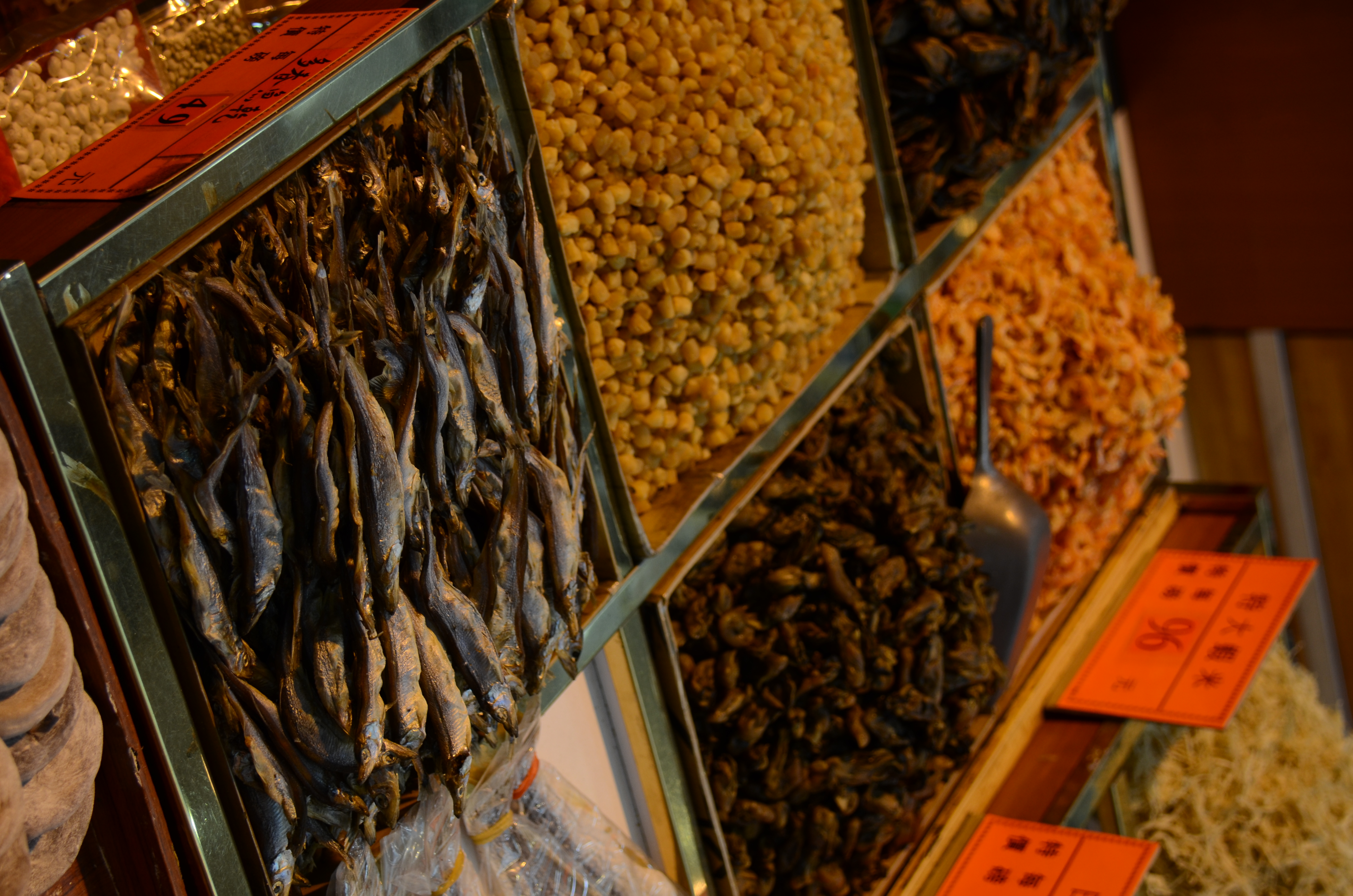 <b>D7000 / AF-S DX NIKKOR 18-300mm F3.5-5.6 G ED VR / 約7.1MB / 3,264×4,928 / 1/125秒 / F5.3 / -1.7EV / ISO250 / WB:オート1 / 50mm</b>