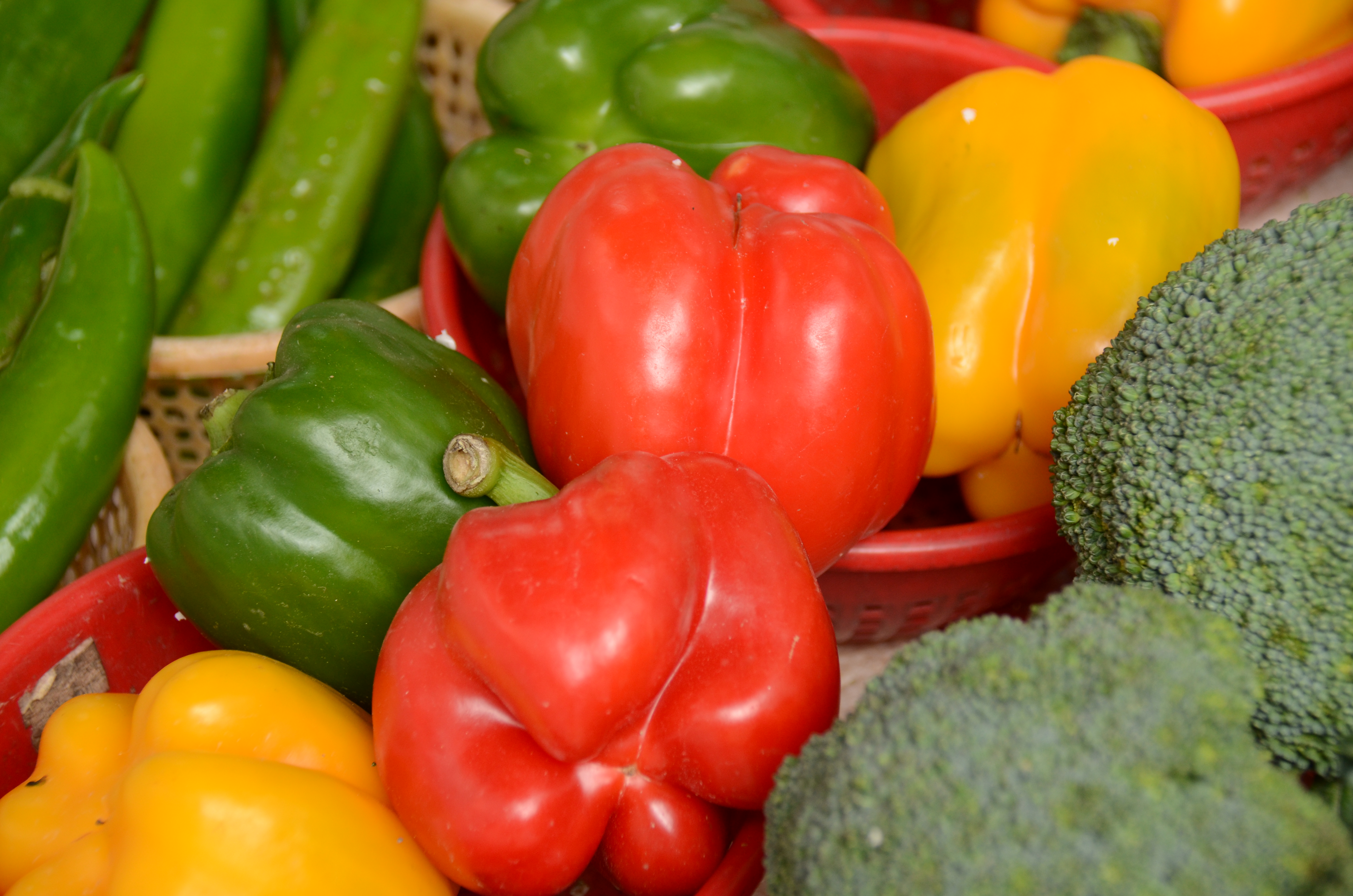 <b>D7000 / AF-S DX NIKKOR 18-300mm F3.5-5.6 G ED VR / 約6.9MB / 4,928×3,264 / 1/40秒 / F5.6 / -0.7EV / ISO400 / WB:曇天 / 105mm</b>