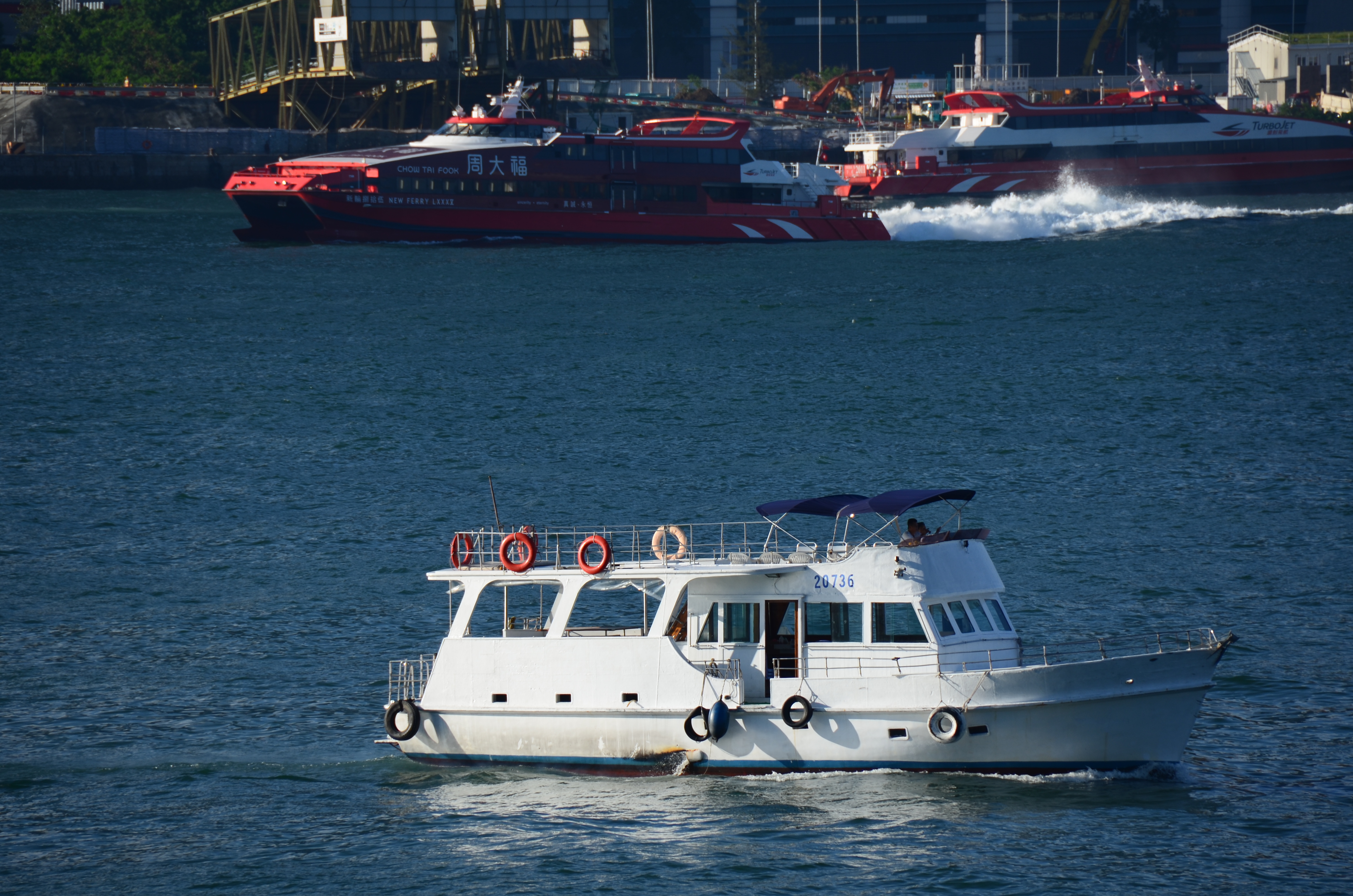 <b>D7000 / AF-S DX NIKKOR 18-300mm F3.5-5.6 G ED VR / 約6.9MB / 4,928×3,264 / 1/320秒 / F8 / -0.3EV / ISO100 / WB:晴天 / 300mm</b>